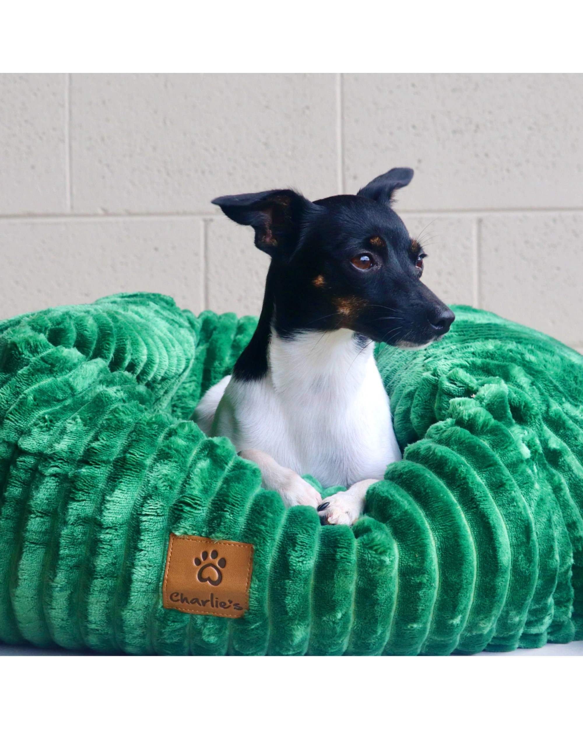 3 Charlie's Ascher Plush Corduroy Square Dog Bed Small - Eden Green, 3 of 8