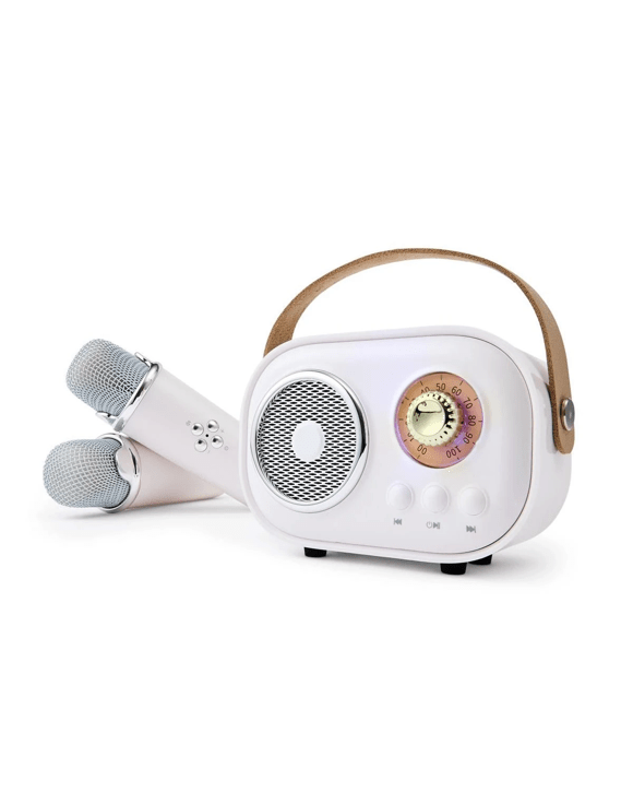 Retro Karaoke Set with Two Microphones