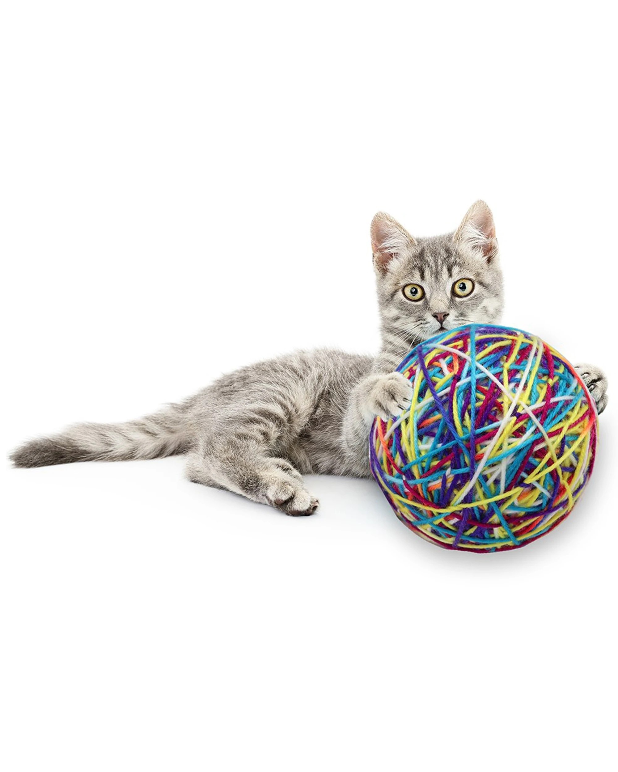 1 Paws And Claws 9cm Cat/kitten/pet Play/exercise Toy Wool Ball/yarn W/ Rattle
 - Multi, 1 of 2