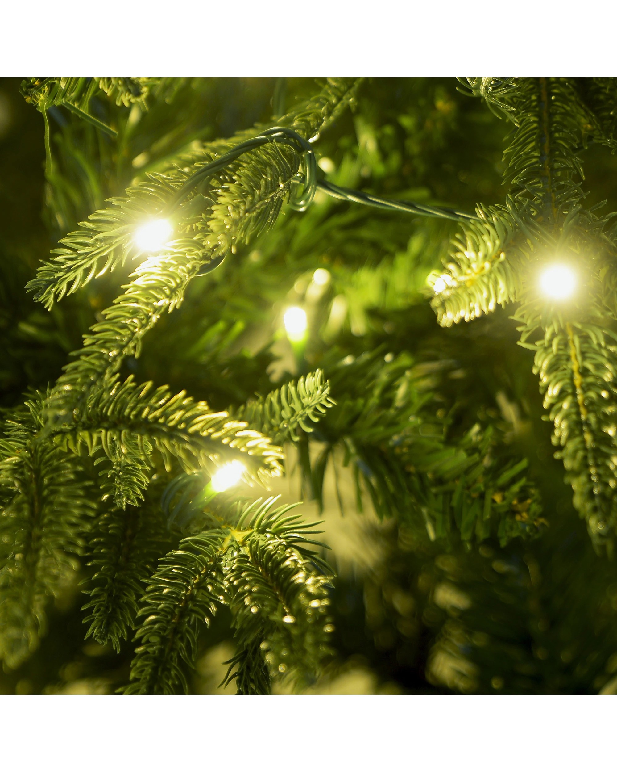 3 Christabelle 1.8m Prelit Everglow Fir Christmas Tree with 300 LED Lights - Green, 3 of 9