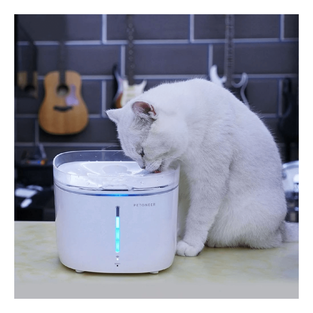 3 Petoneer Fresco Pro Smart Fountain, 3 of 5