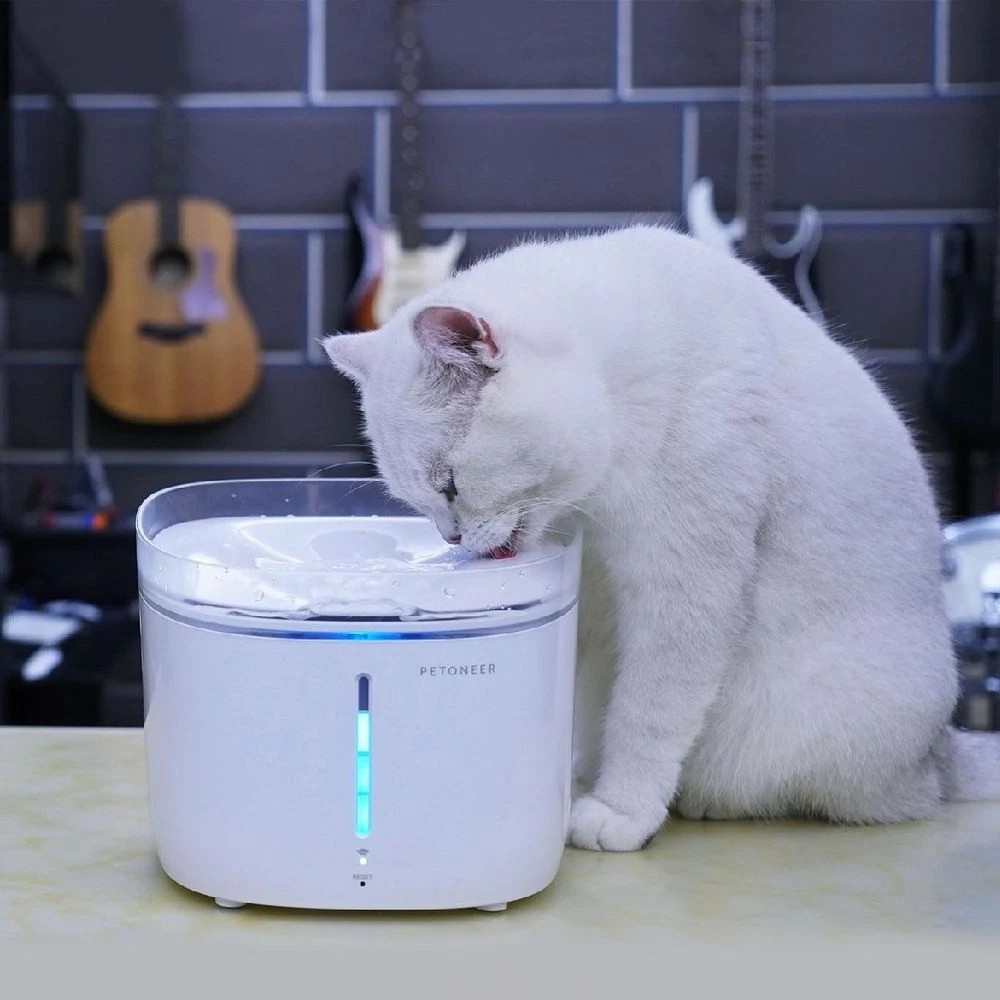 3 Petoneer Fresco Pro Smart Fountain, 3 of 5