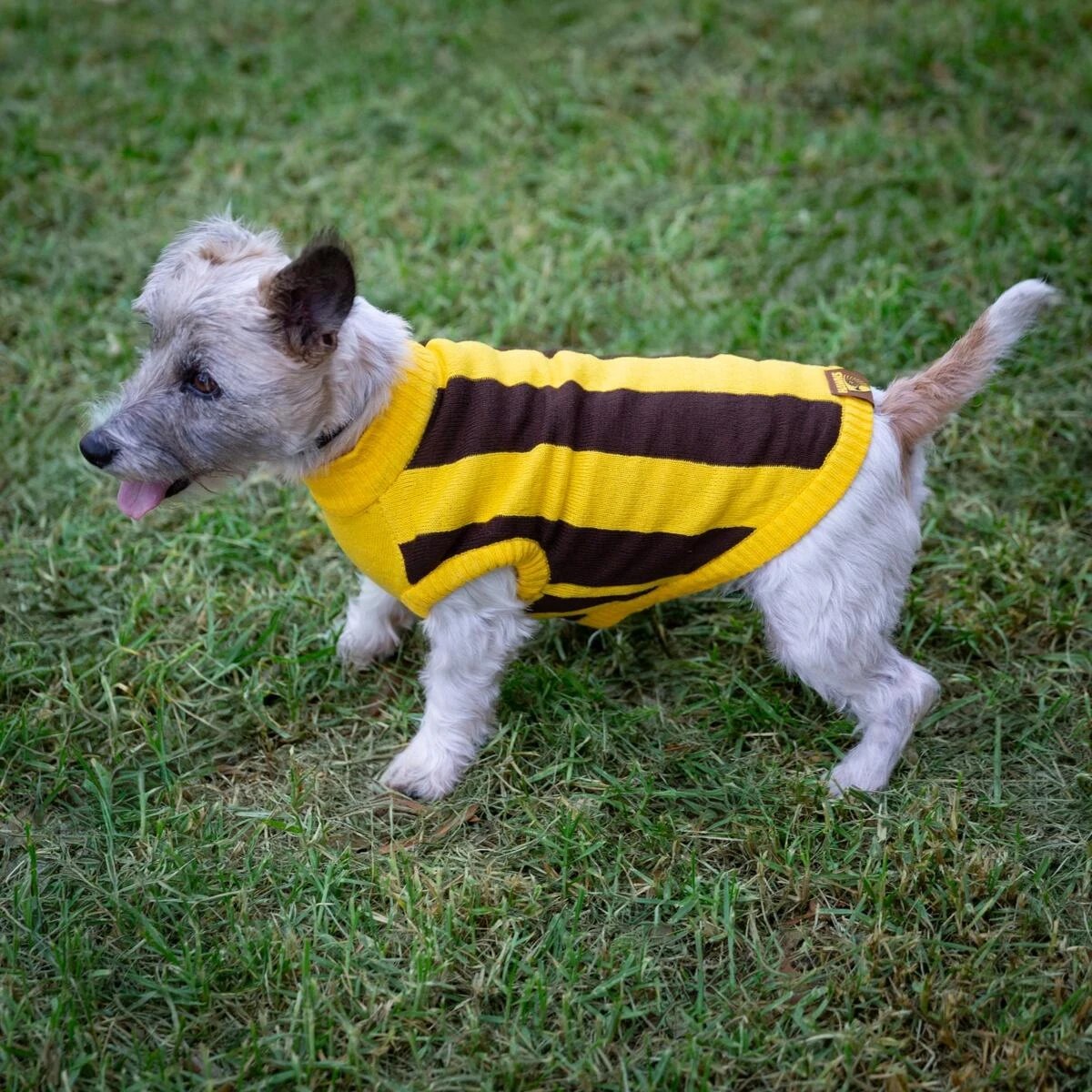 1 AFL Hawthorn Hawks Pet Jumper - Small, 1 of 4