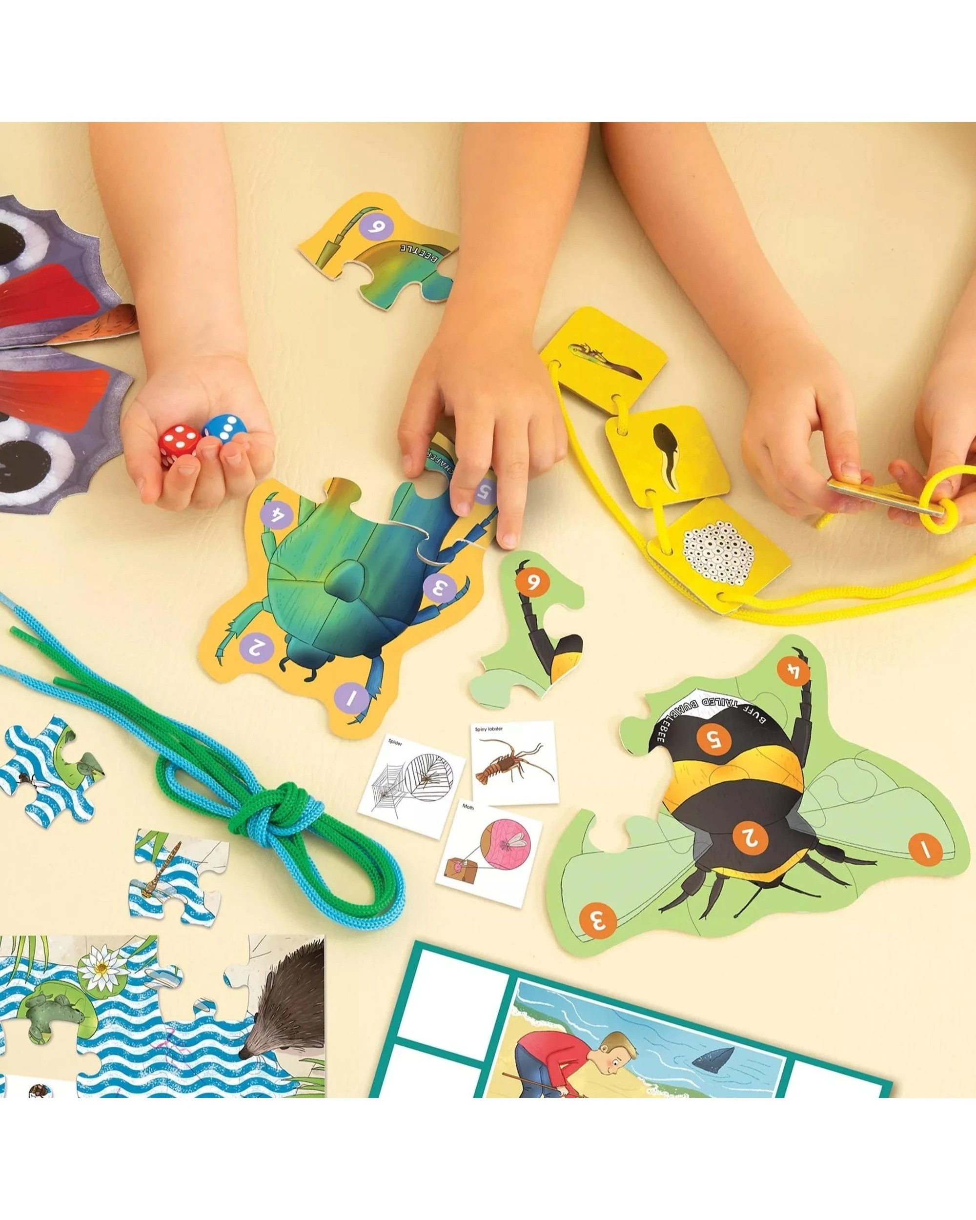 5 Galt Let's Learn Tiny Creatures Activity Kit, 5 of 6