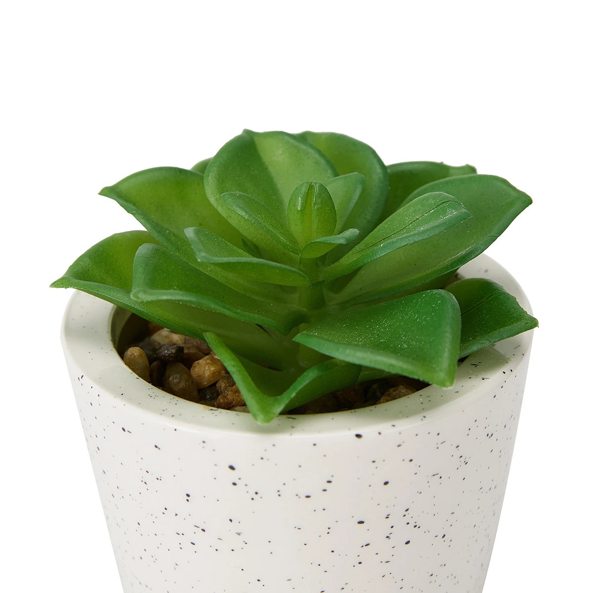 5 Artificial Succulent in Pot - Assorted, 5 of 7