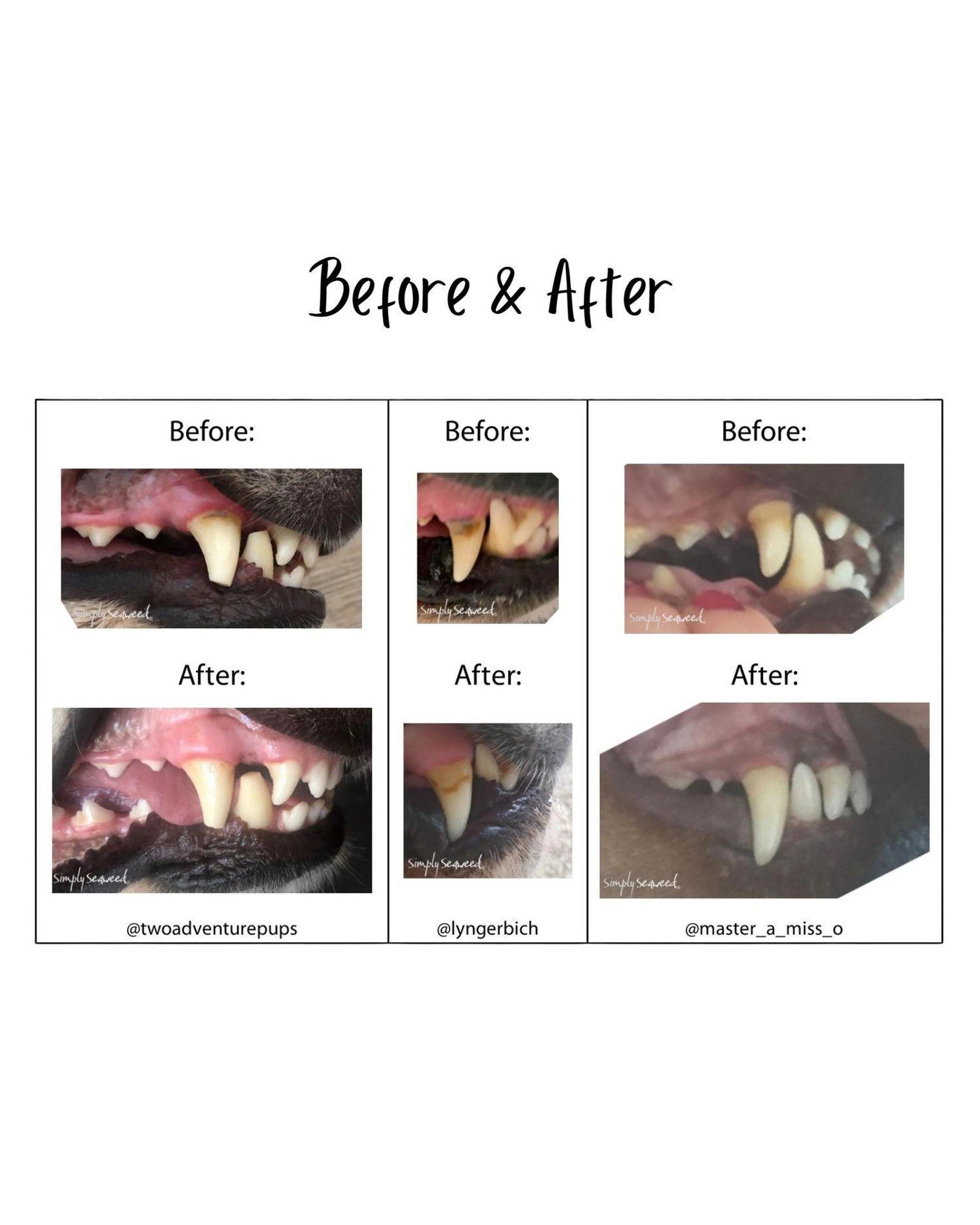 3 Simply Seaweed Dental Health Care Supplement for Cats & Dogs 1.5kg, 3 of 6