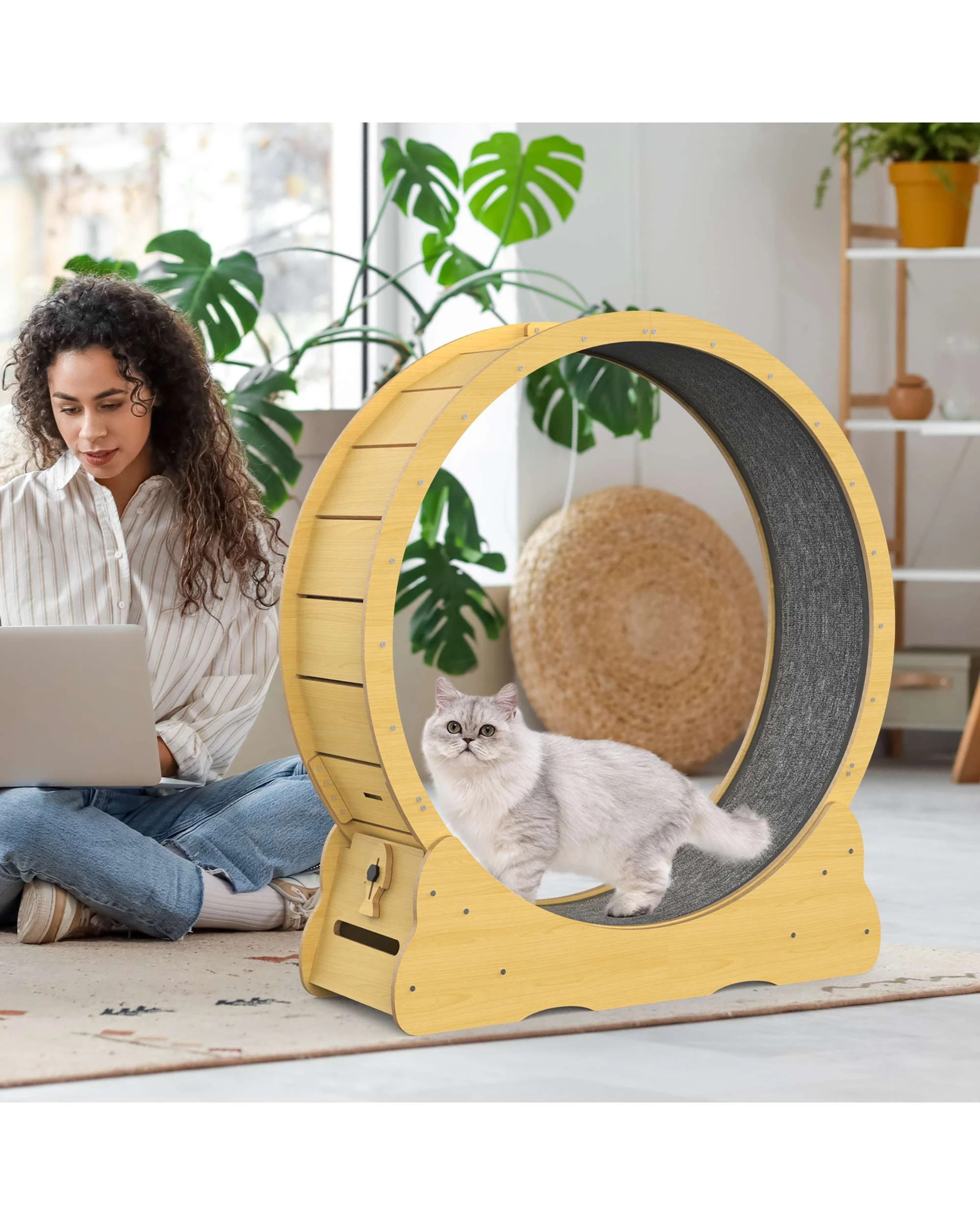 3 Advwin Cat Exercise Wheel Pet Treadmill Scratcher Board, 3 of 7