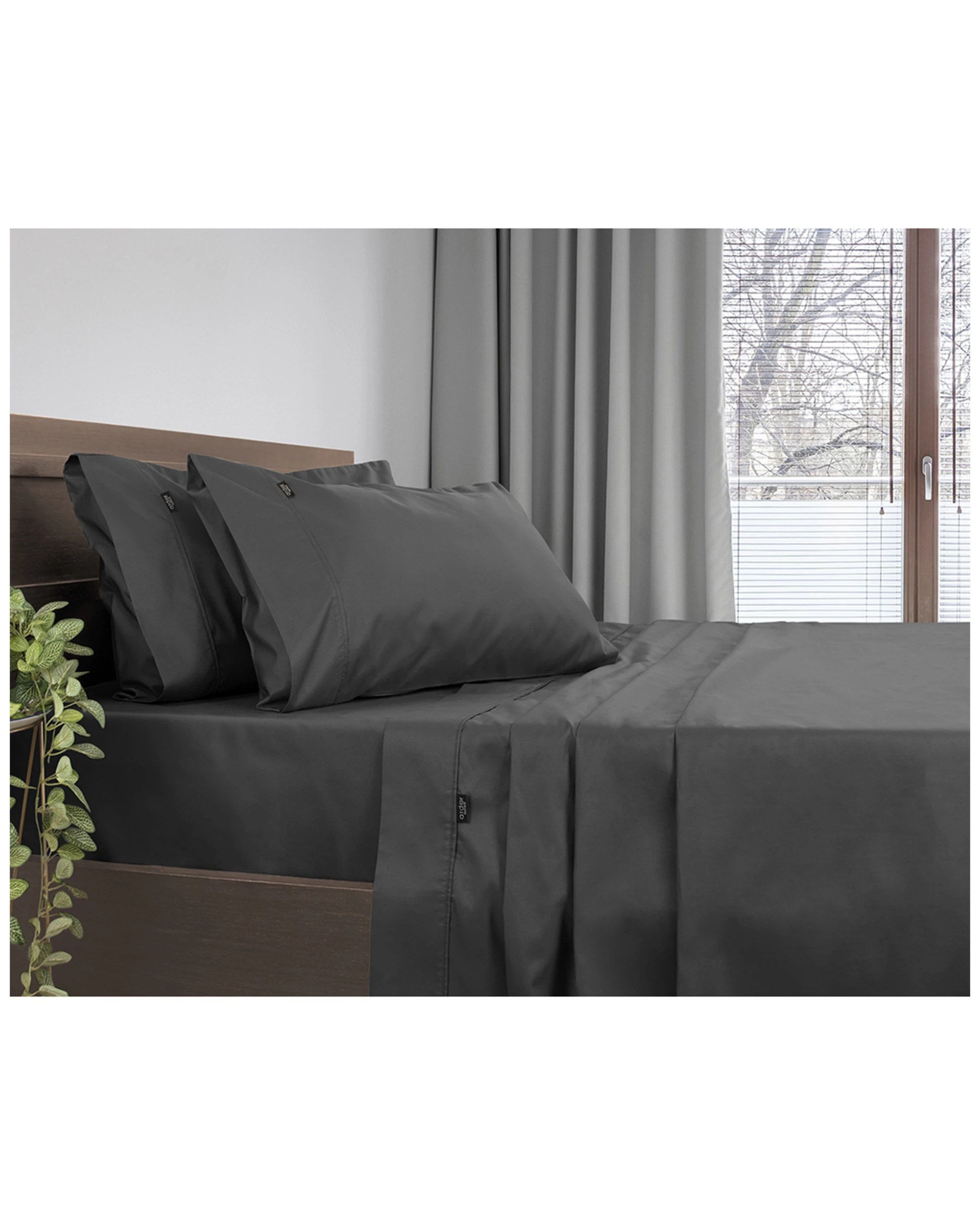 1 Ardor 1x Single Bed Sheet Set Soft Cotton Rich Fabric Polyester Complete
 - Single Bed, 1 of 3