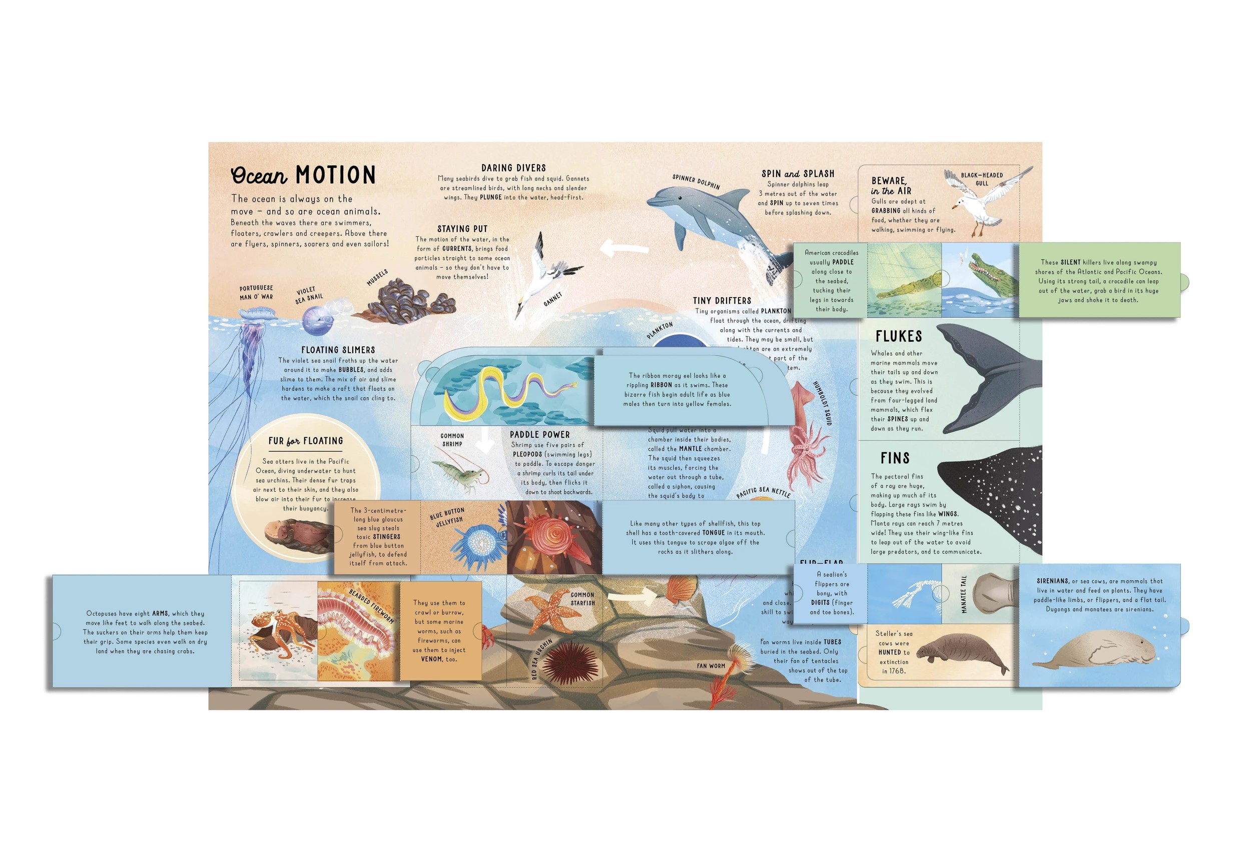 6 Lift-the-Flap Encyclopaedia of Oceans: 200 Flaps to Explore - Book, 6 of 9