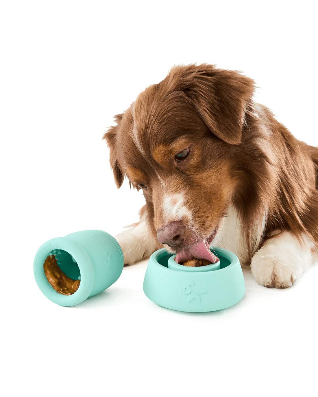 1 2 Pack Pet Rubber Treat Chew - Teal, 1 of 9