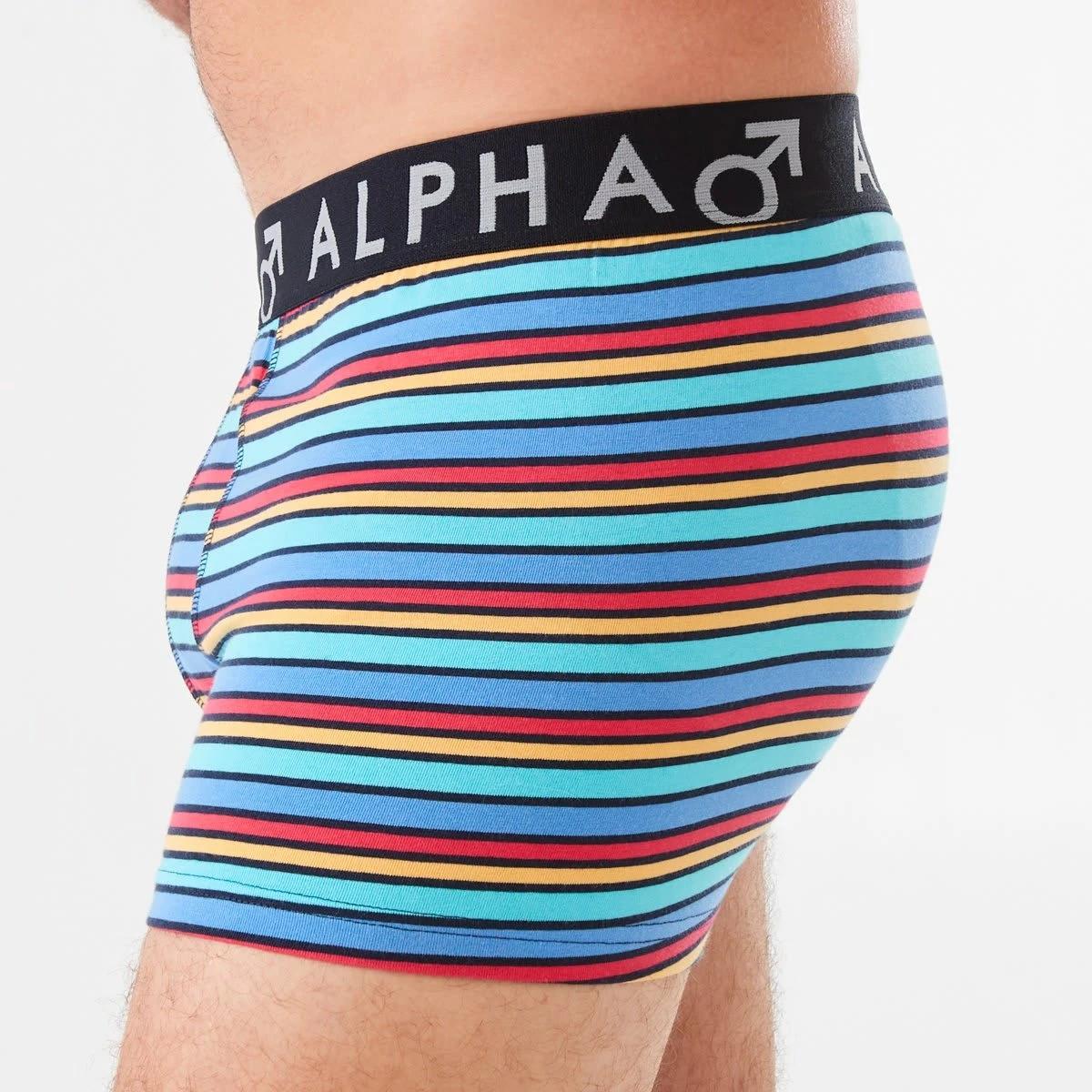 5 3 Pack Fly Front Stripe Trunks SPECTRUM STRIPE, 5 of 8