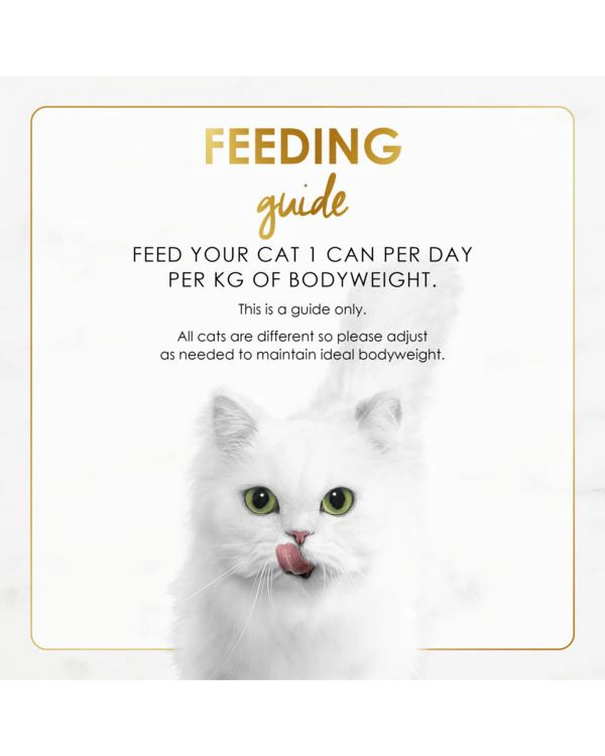 5 Fancy Feast Adult Grilled Wet Cat Food Ocean Whitefish & Tuna Feast 24 x 85g, 5 of 6