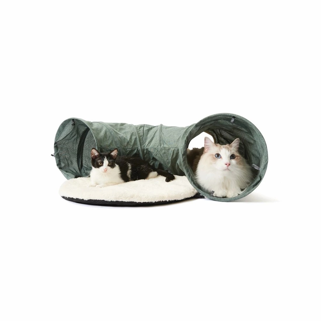 1 Cat Mat & Tunnel, 1 of 9