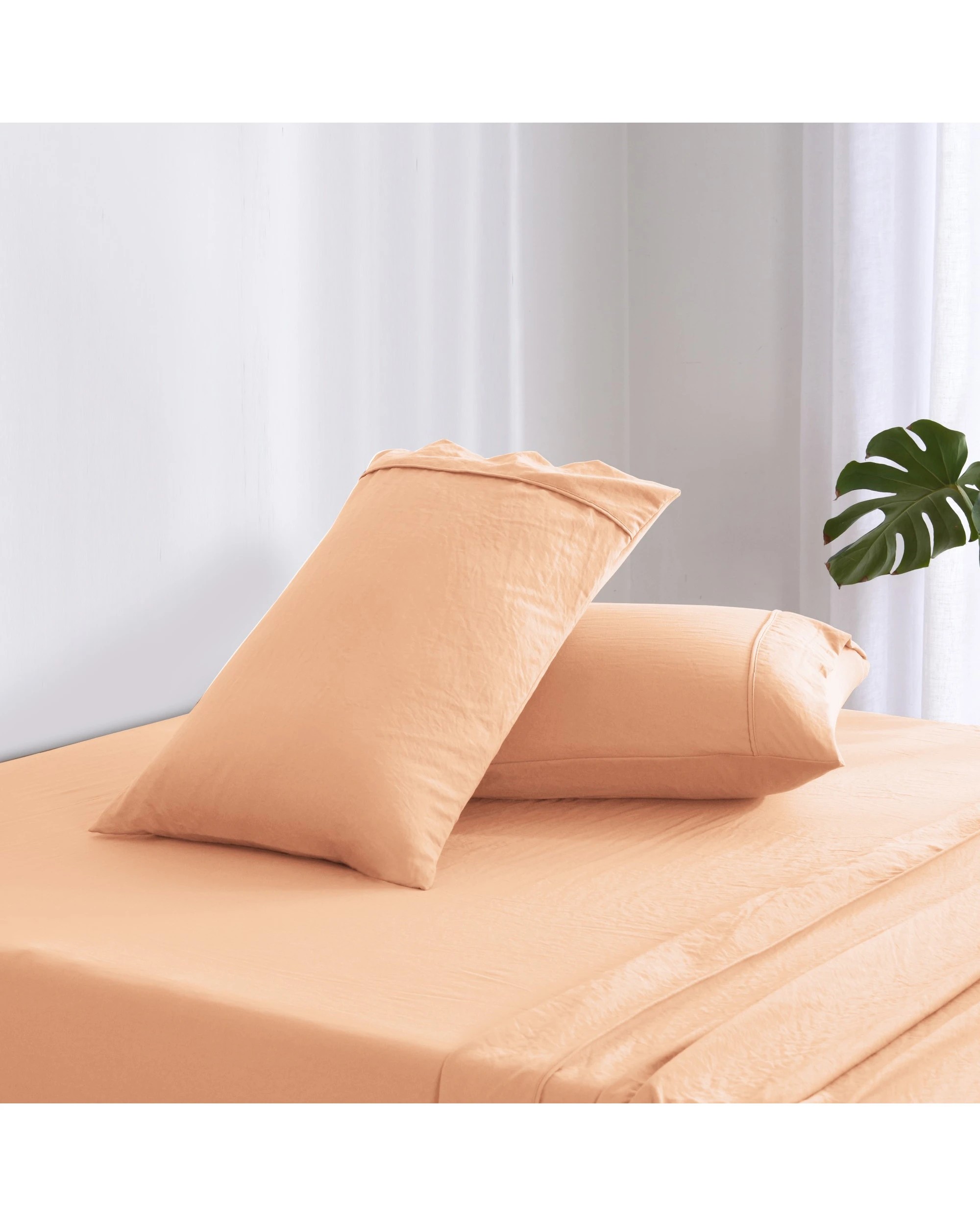 2 Dreamaker Superfine Washed Microfibre Standard Pillowcase Twin Pack - Peach, 2 of 6