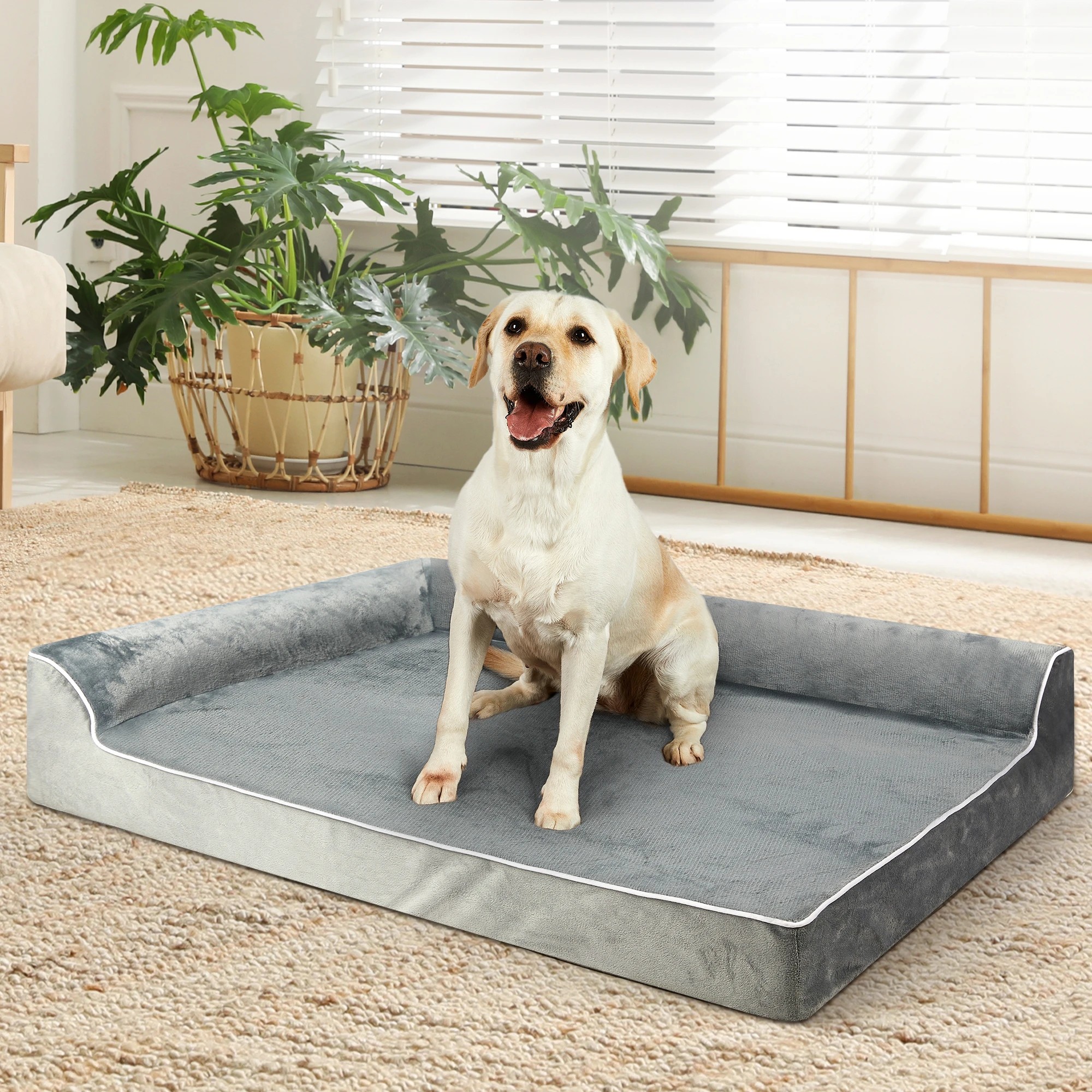 7 Pawz Orthopedic Memory Foam Dog Bed Xxl, 7 of 7