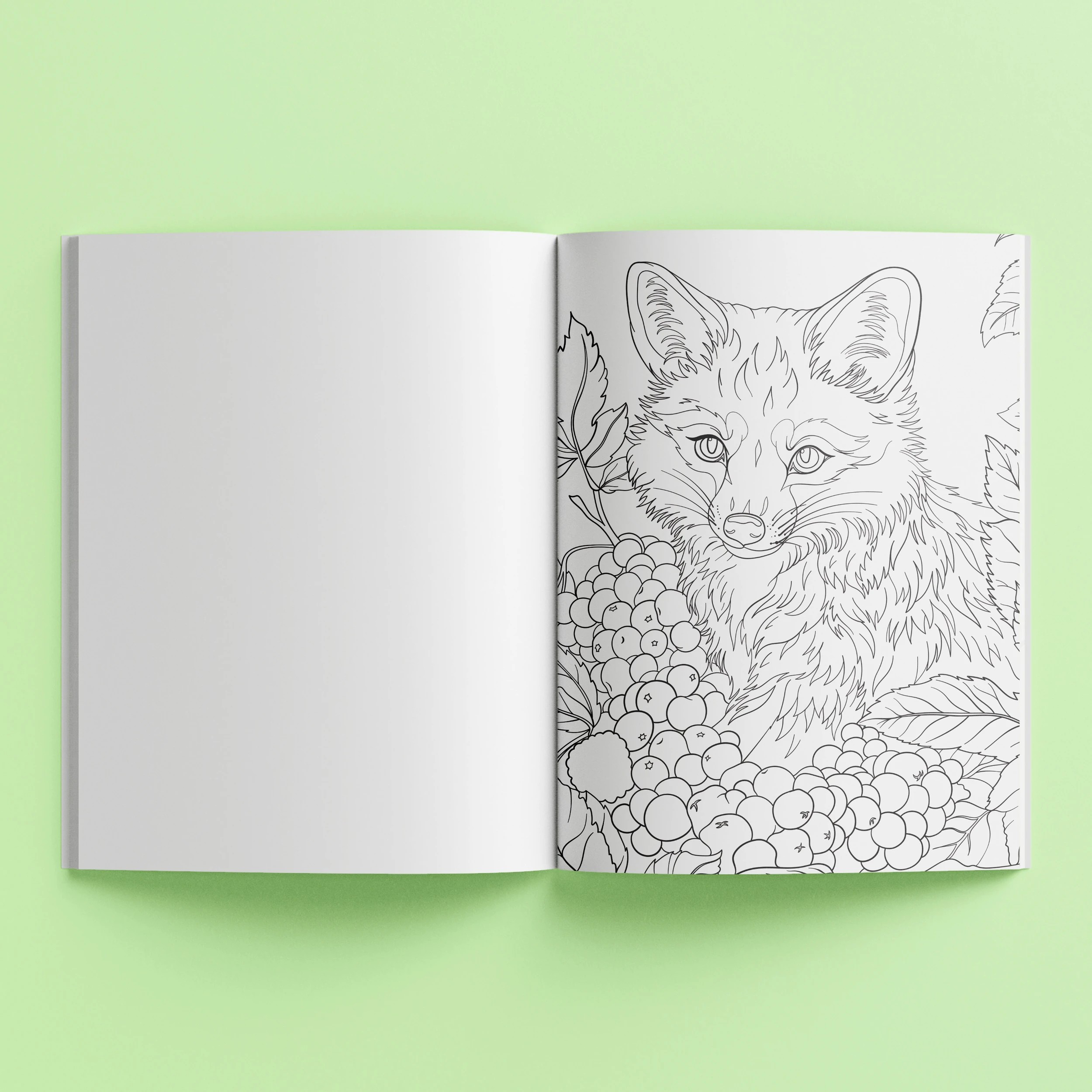 2 Mindwaves Calming Colouring: Beautiful Harmony - Book, 2 of 4