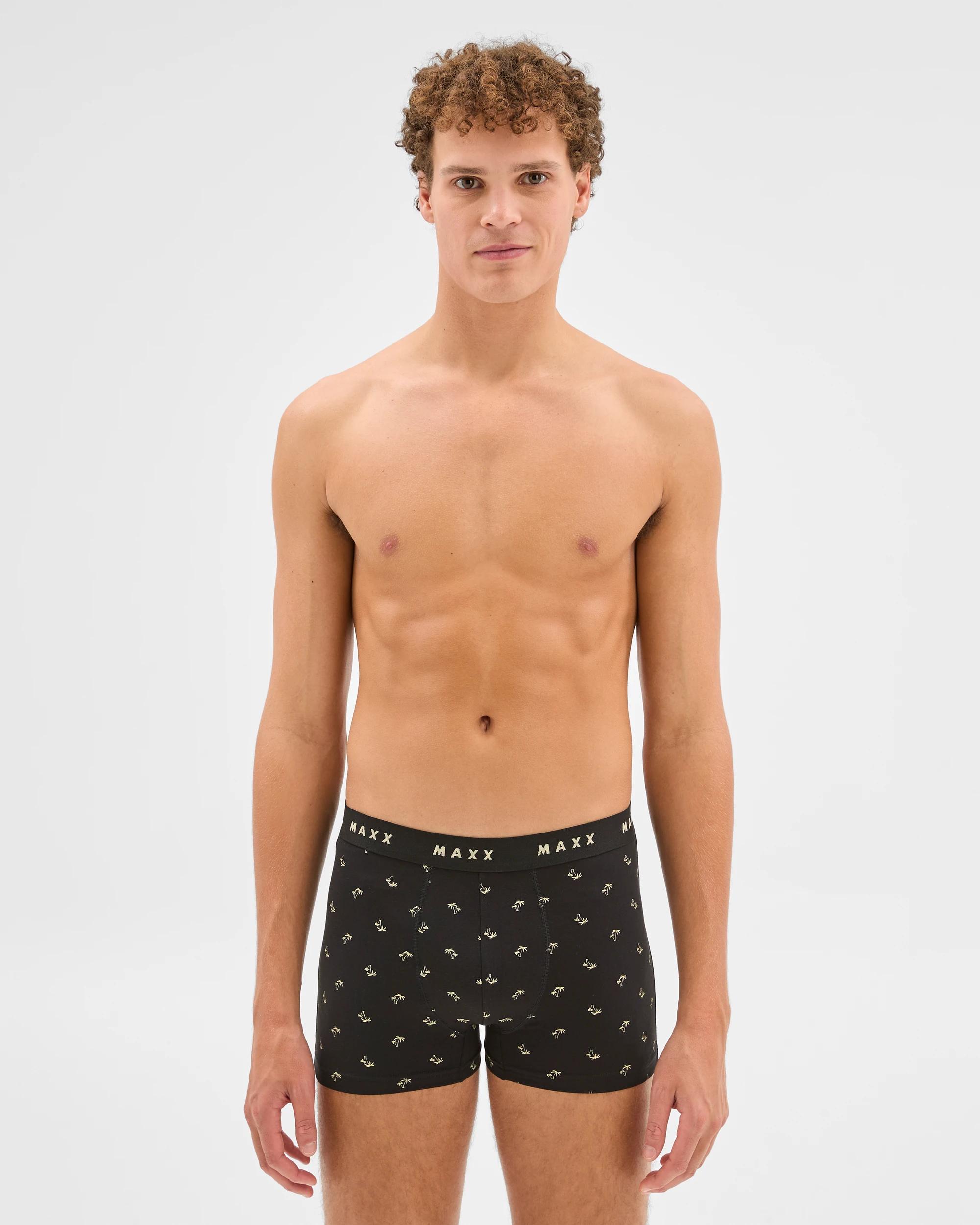 2 Cotton Blend Mens Hipster Trunk 7 Pack - Maxx MULTI PALMS, 2 of 5