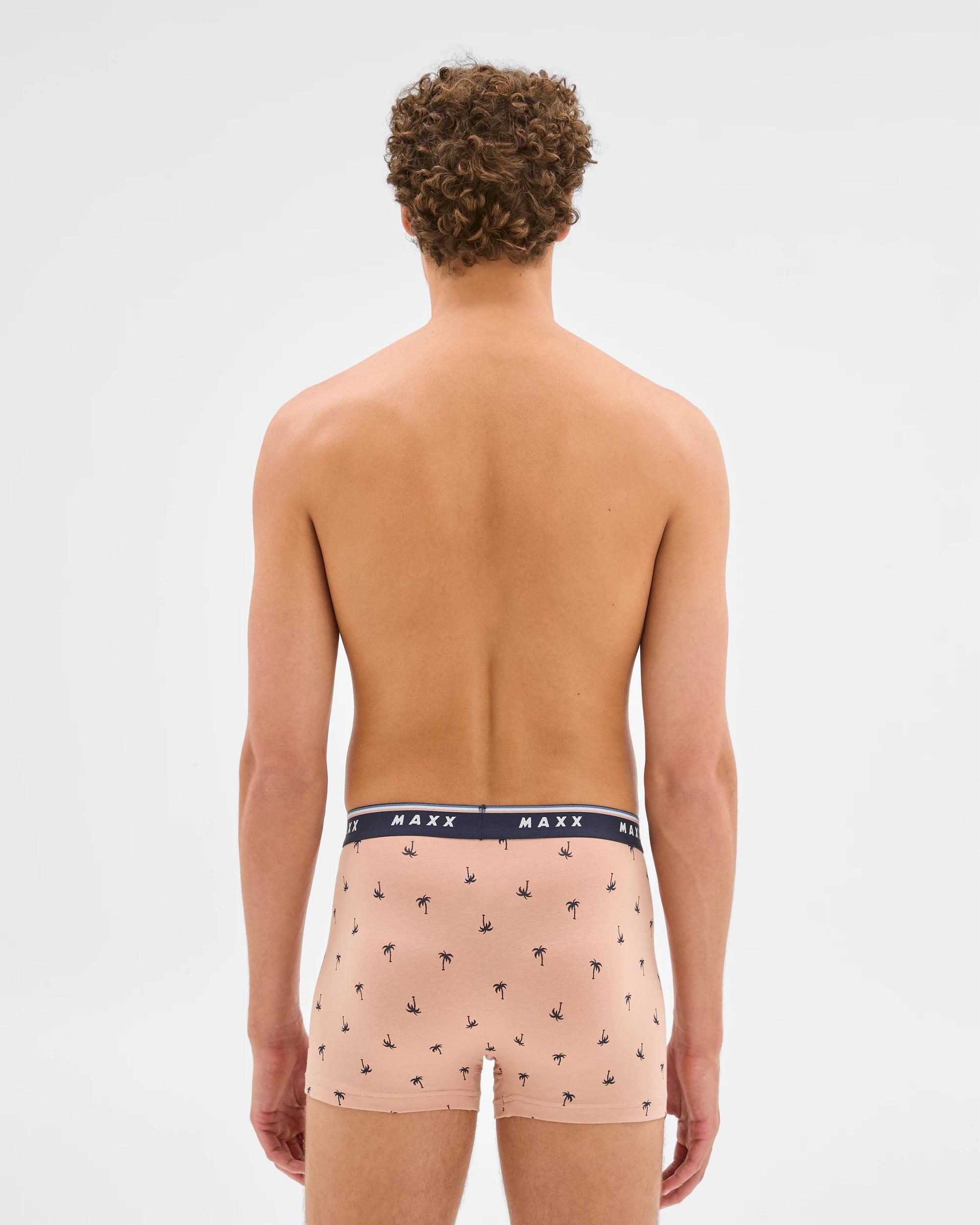 4 Mens Hipster Trunk 3 Pack - Maxx MULTI PALM TREE/STONEWASH/STRIPE, 4 of 6