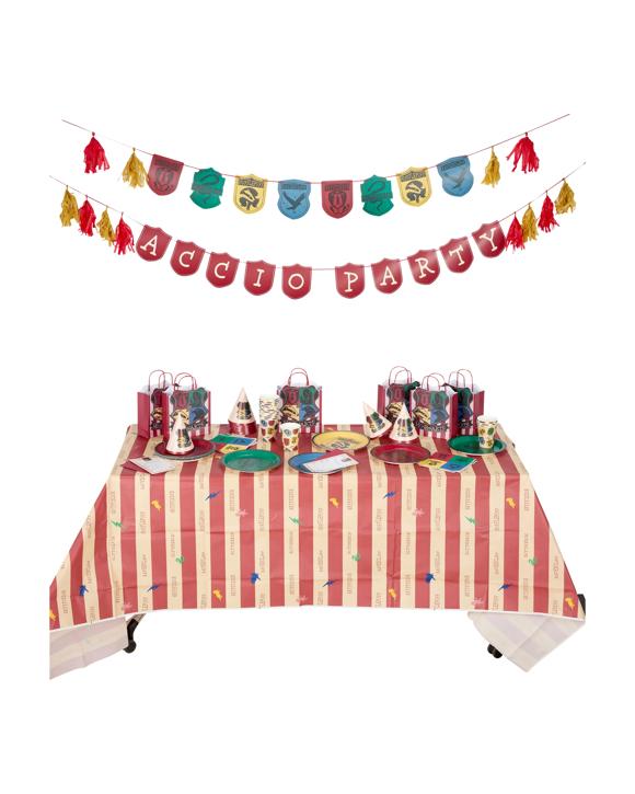100 Piece Harry Potter Party Box