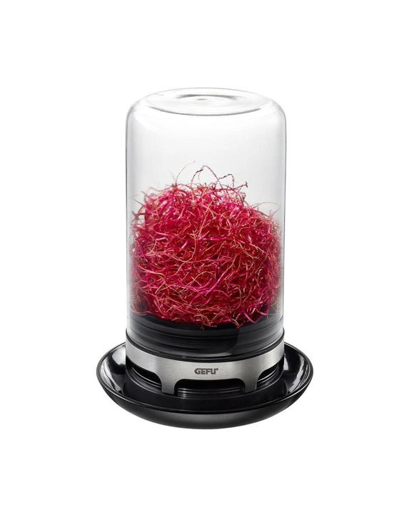 Gefu Bivita Sprouting Jar