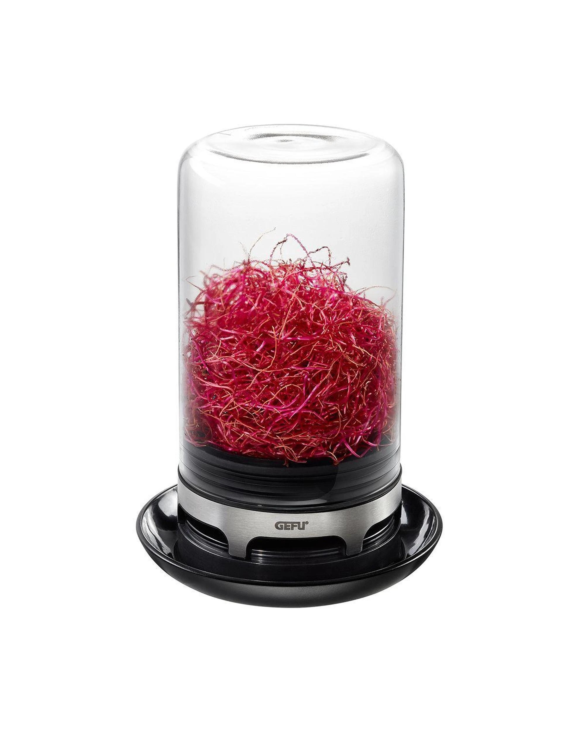 1 Gefu Bivita Sprouting Jar, 1 of 6