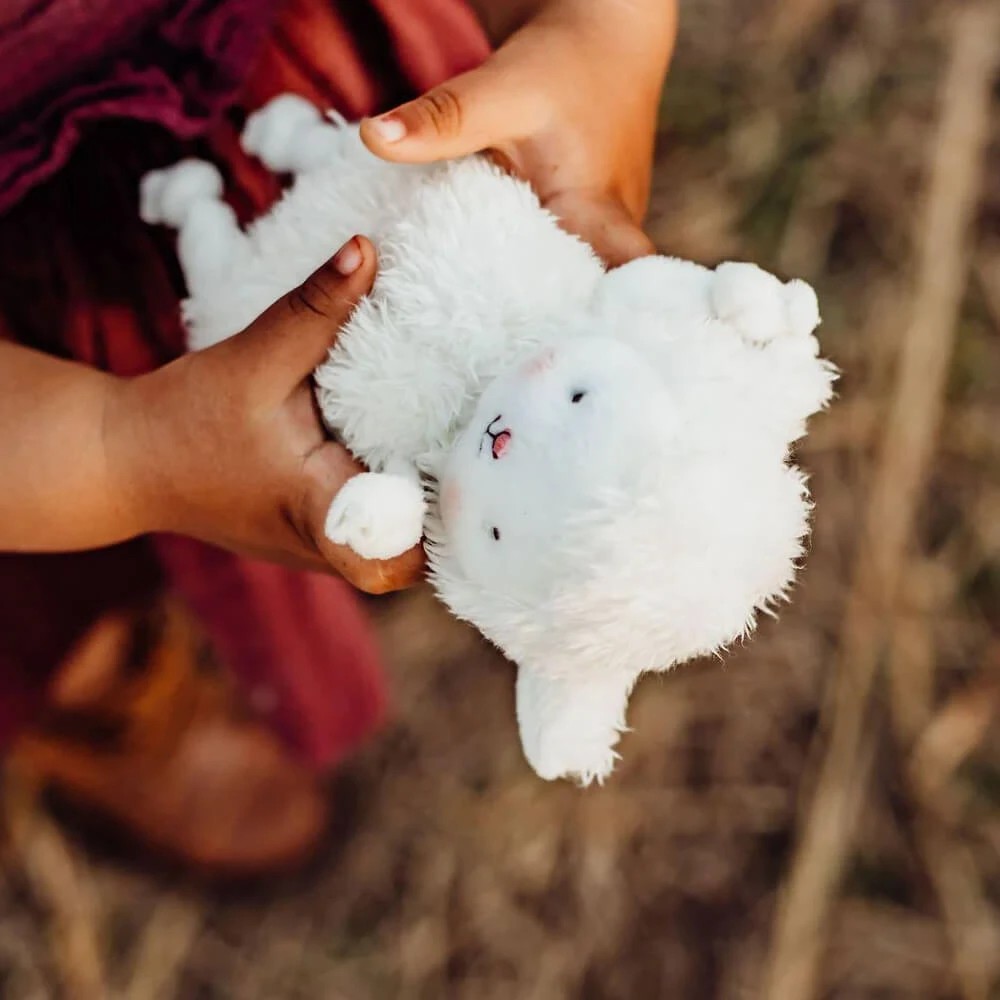 3 Bunnies by the Bay - Kiddo Lamb Roly Poly - Soft Toy Bunny Rabbit - - 12cm - White, 3 of 5