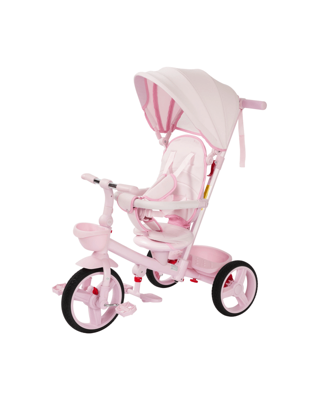 4 in 1 Canopy Trike - 
