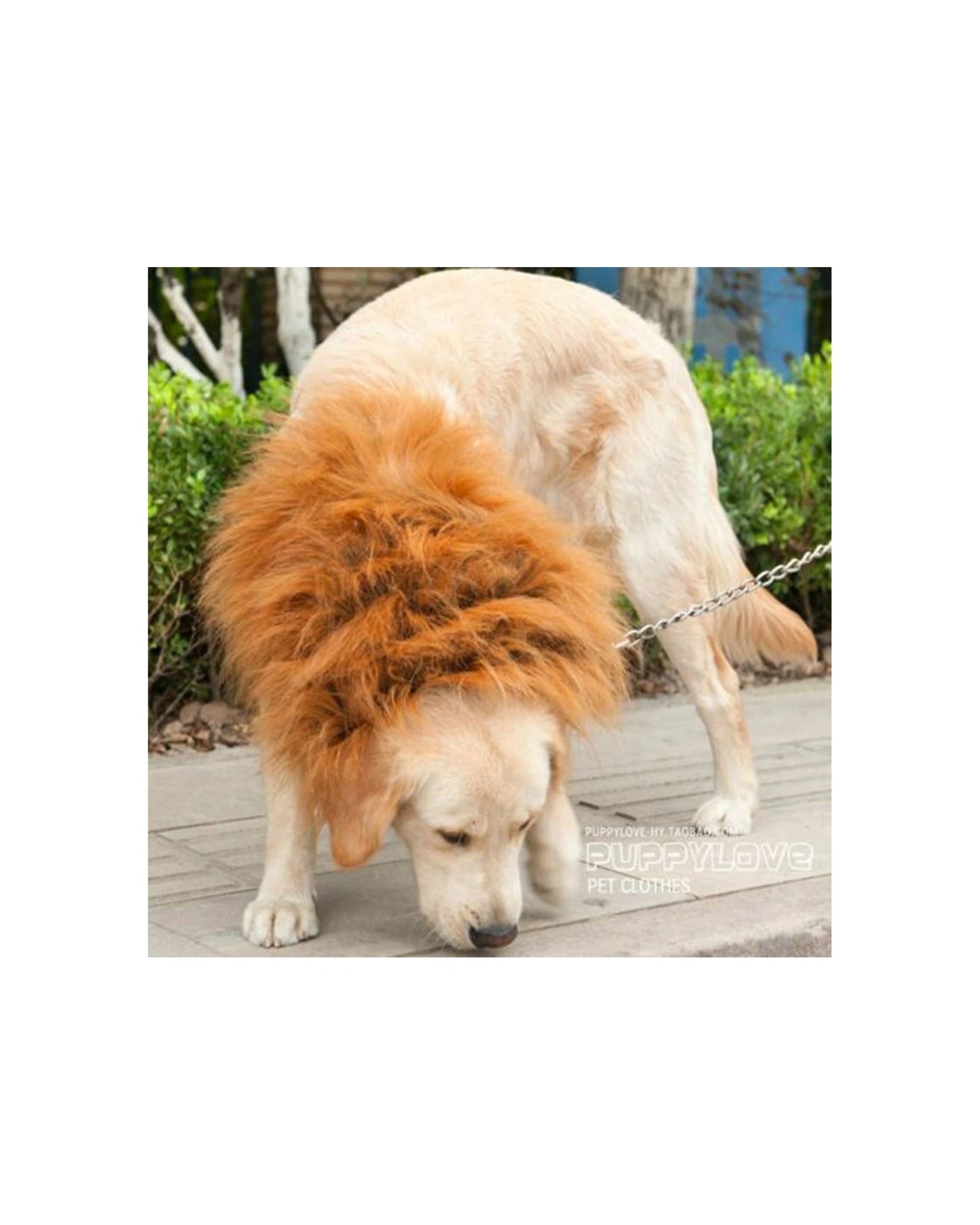 8 Cotton More Large Breed Dog Halloween Party Costume Lion Mane Wig One Size - Black, 8 of 9