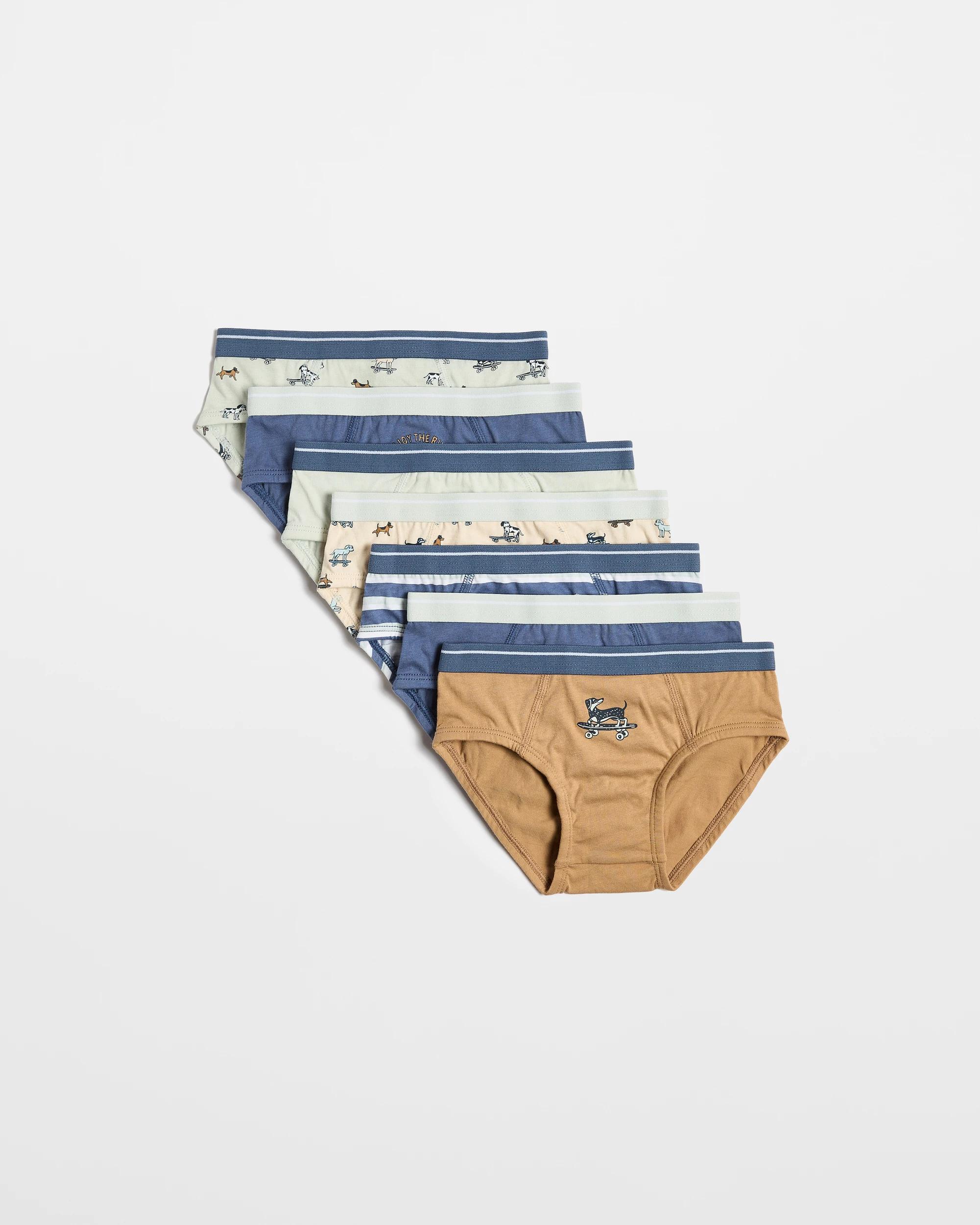 1 Target Younger Boys Briefs 7 Pack - Maxx DOGS/MULTI, 1 of 1