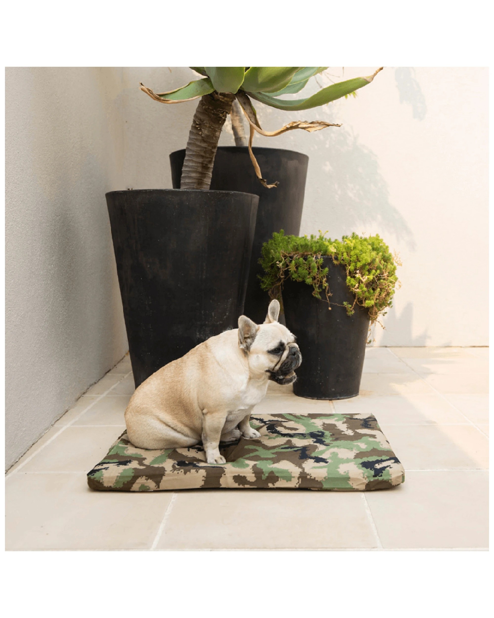 3 SUPERIOR PET GOODS Pet Mat Antimicrobial Pet Bedding Washable Pet Bed Medium
 - multi, 3 of 4