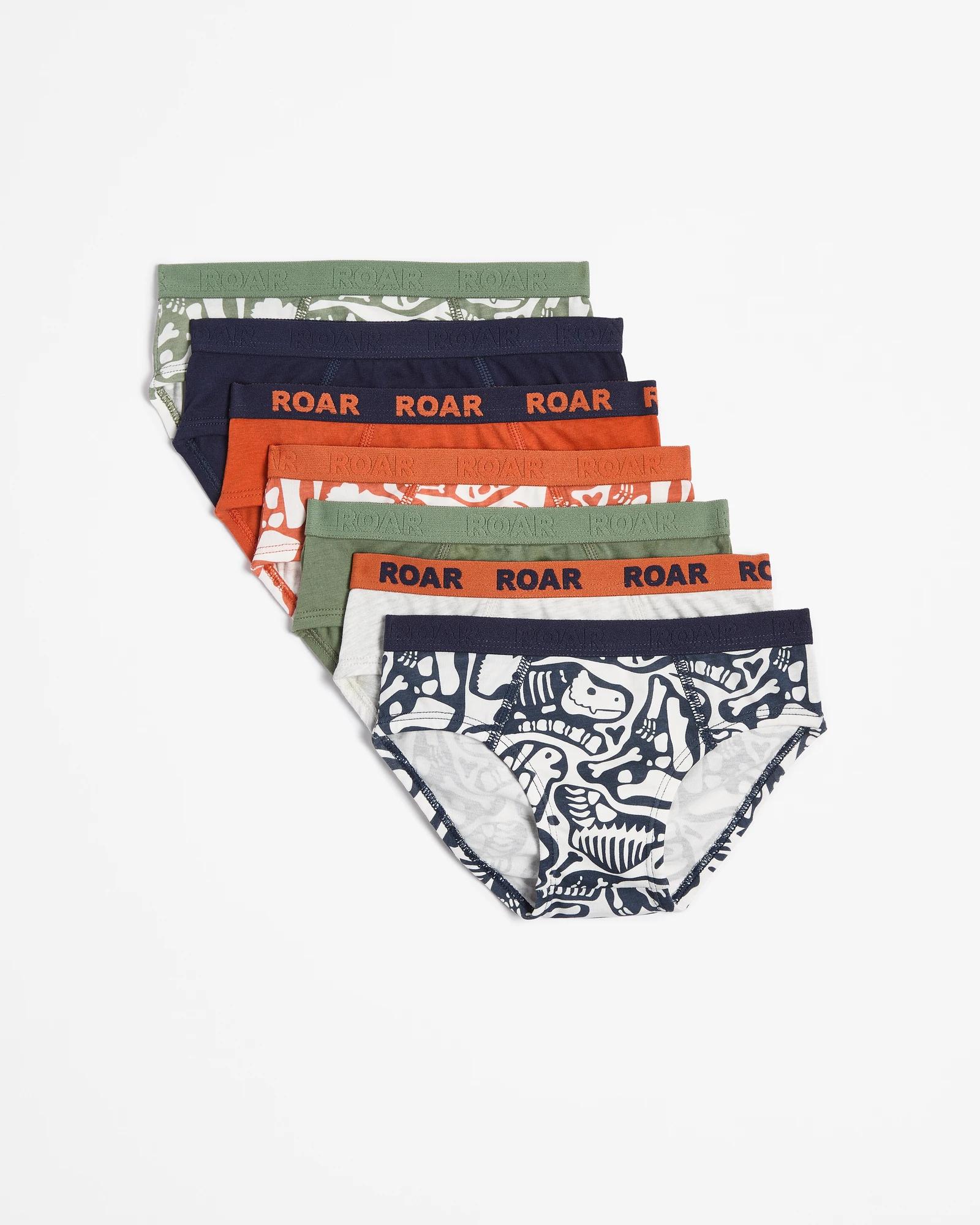 1 Boys Briefs 7 Pack - Maxx DINO BONES, 1 of 1