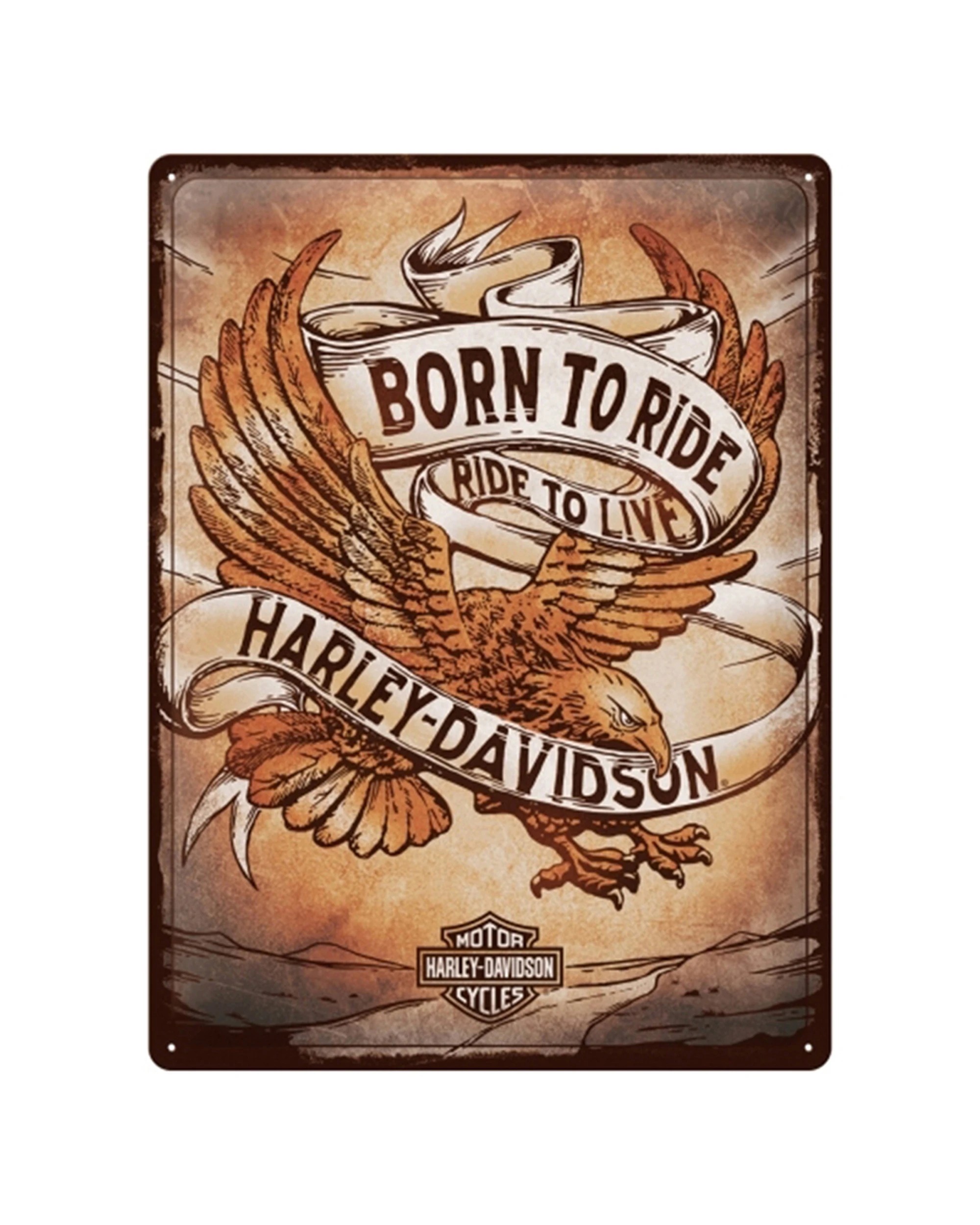 1 Nostalgic-Art Large 30x40cm Metal Wall Art Sign Plaque - Harley Born To Ride Eagle - Natural, 1 of 1