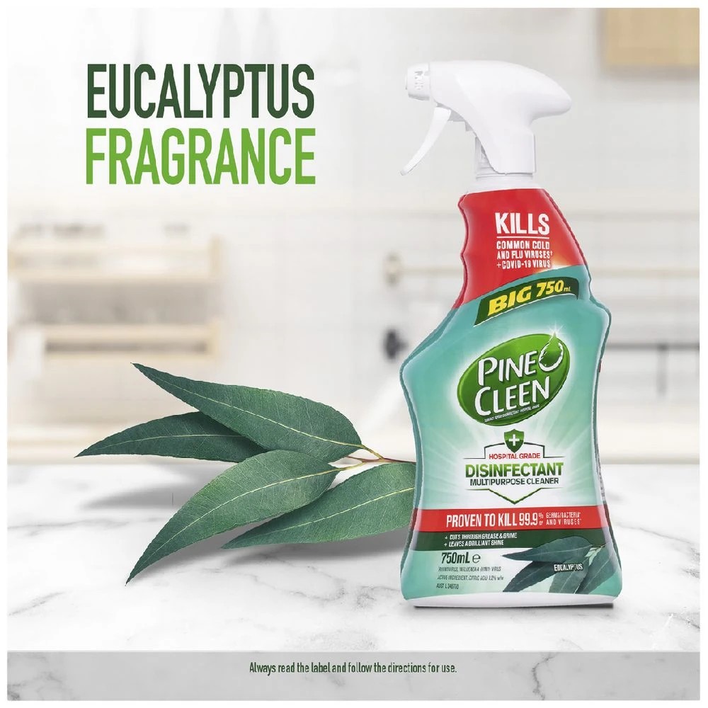 3 Pine O Cleen Multi-Purpose Spray Fresh Eucalyptus 750mL, 3 of 3