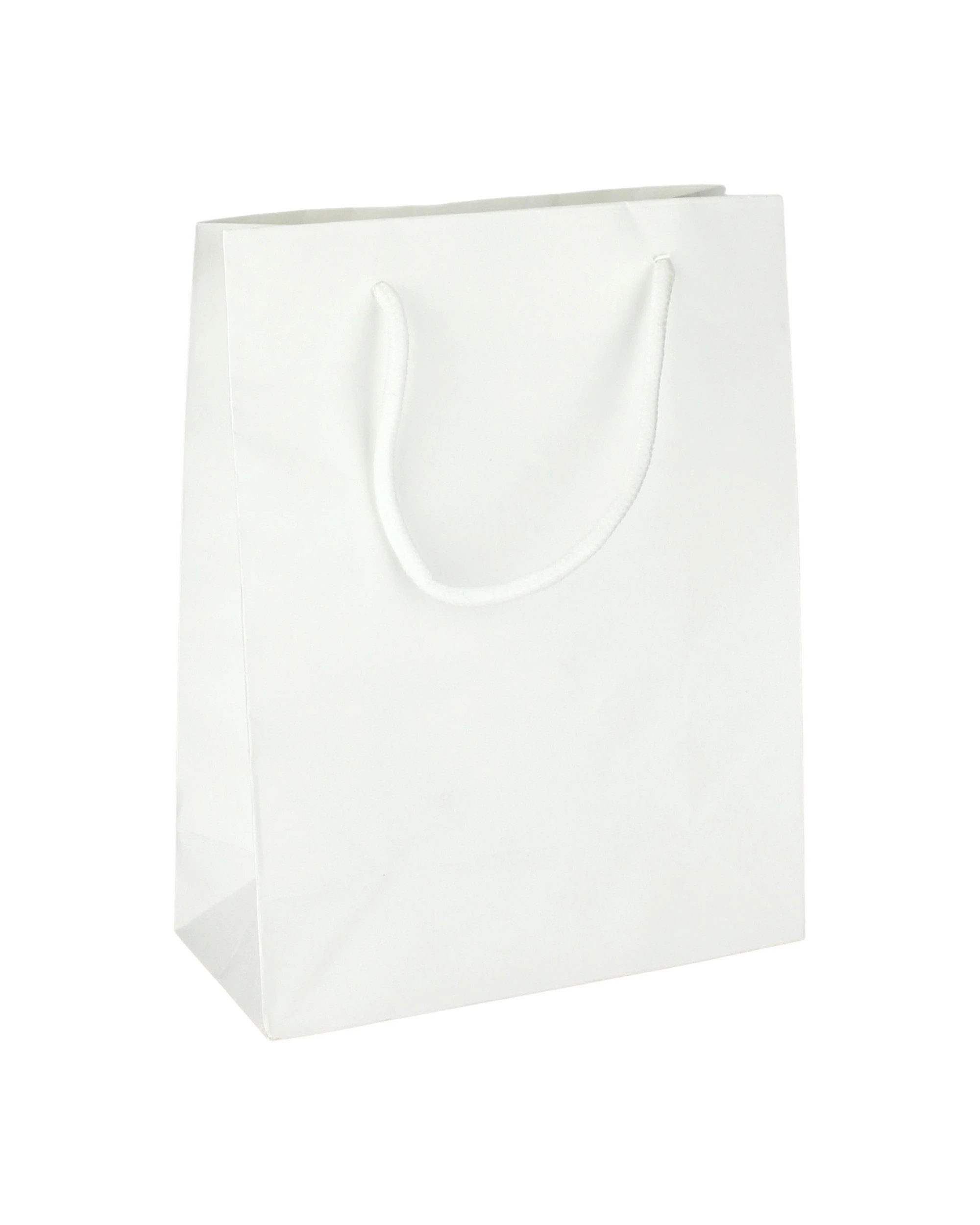 1 Party Maker Kraft Paper Gift Bag 23cm - White, 1 of 1