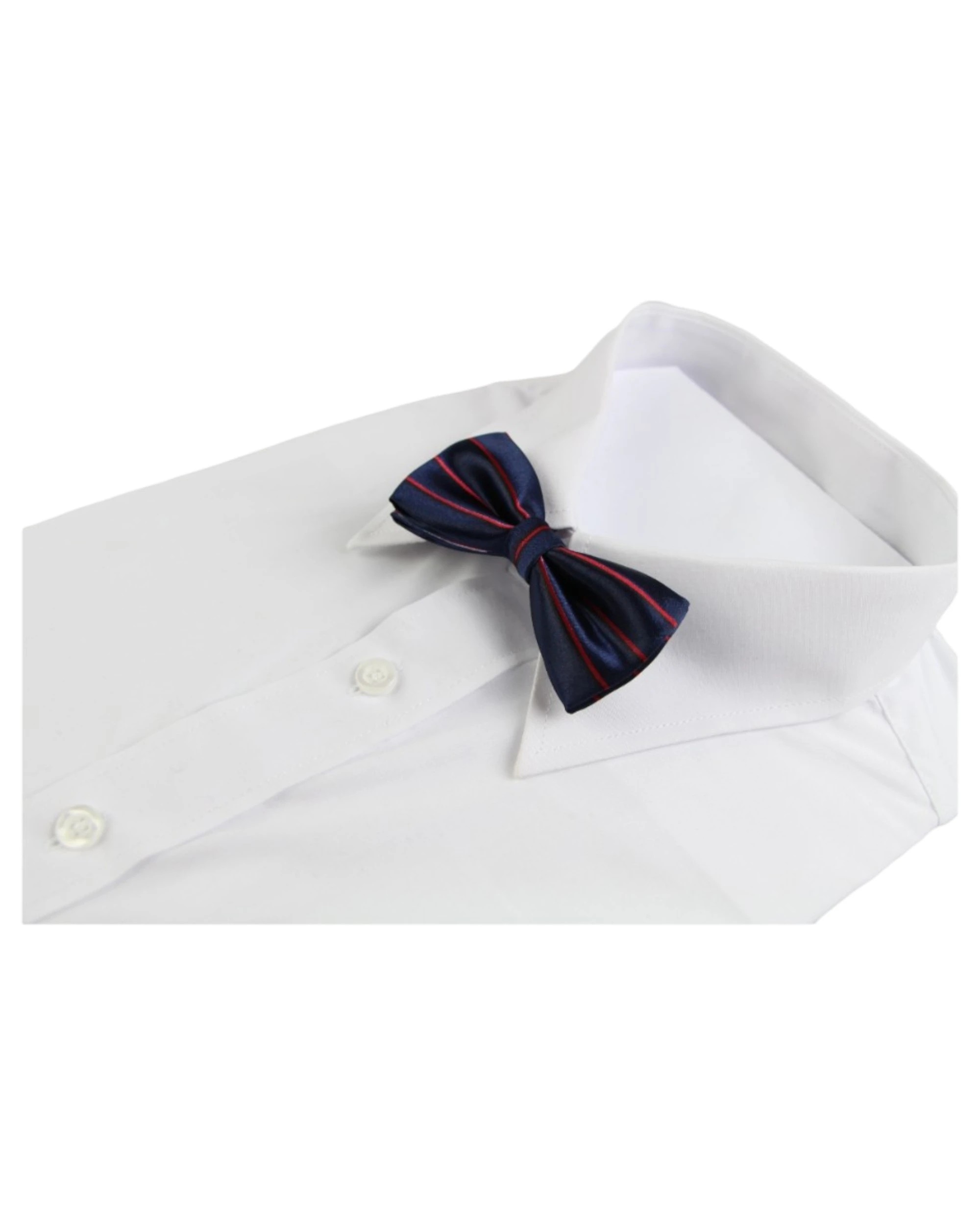 1 Zasel Boys Navy With Red Stripes Patterned Bow Tie, 1 of 2