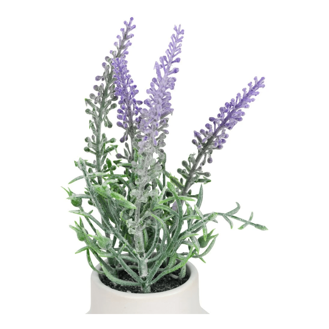 3 Otto Mini Plant, 3 of 3