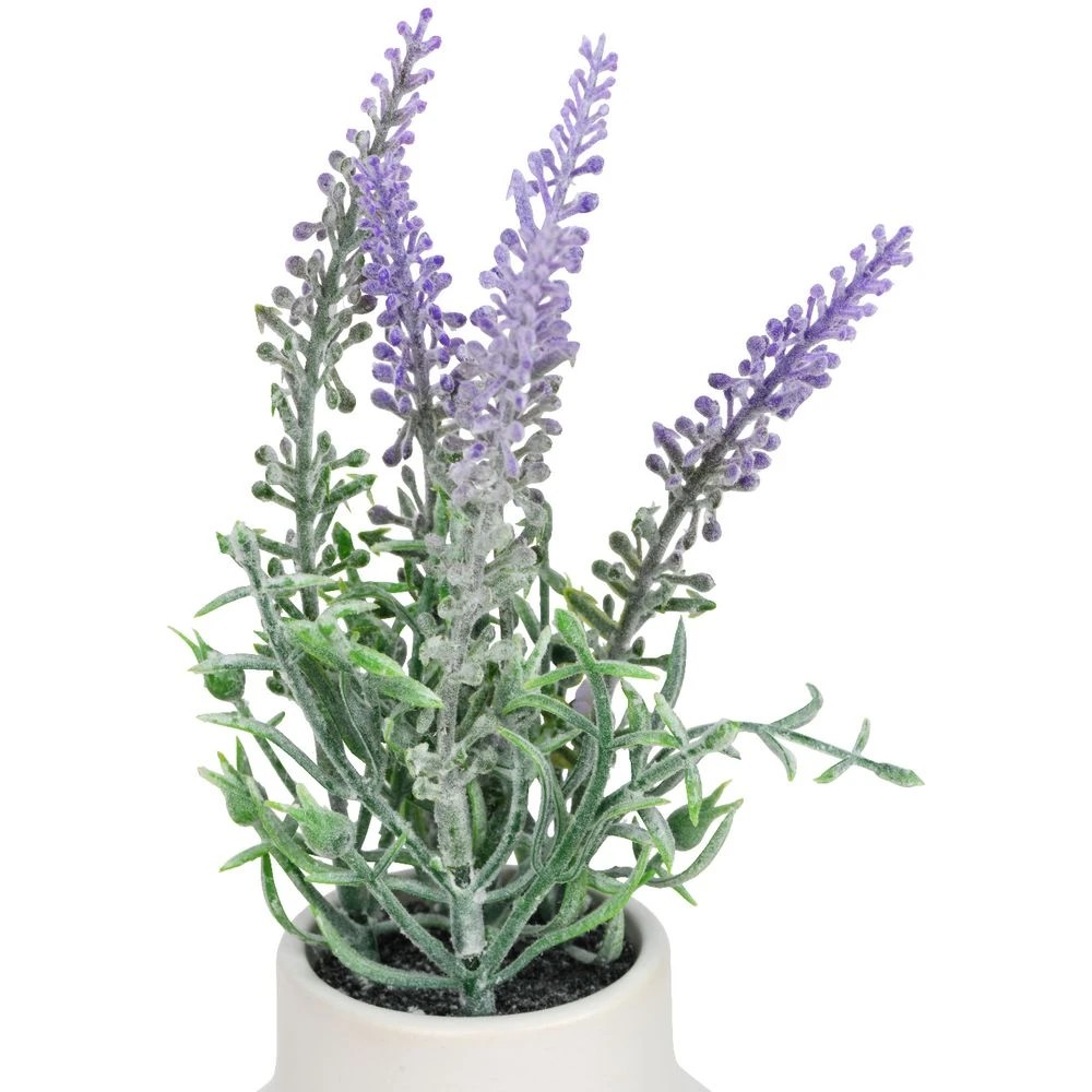 3 Otto Mini Plant, 3 of 3