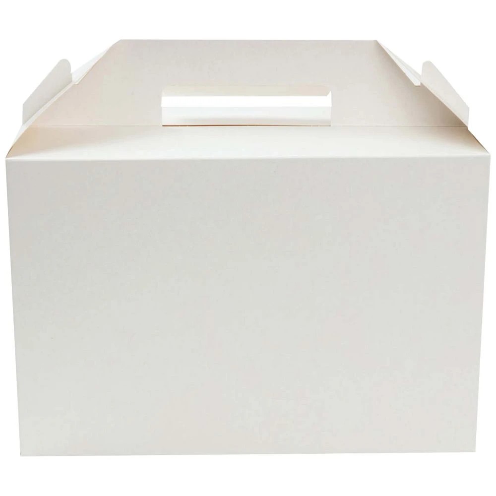 4 Colpac Large Carry Pack White 25 Pack, 4 of 5