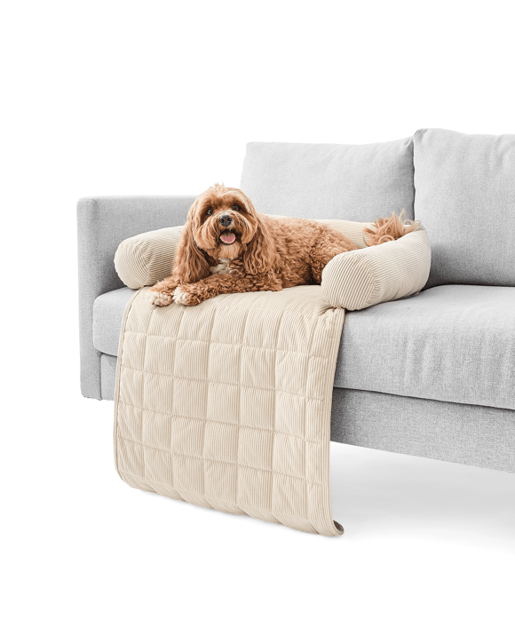 Pet Corduroy Couch Topper - Single Bed, Brown