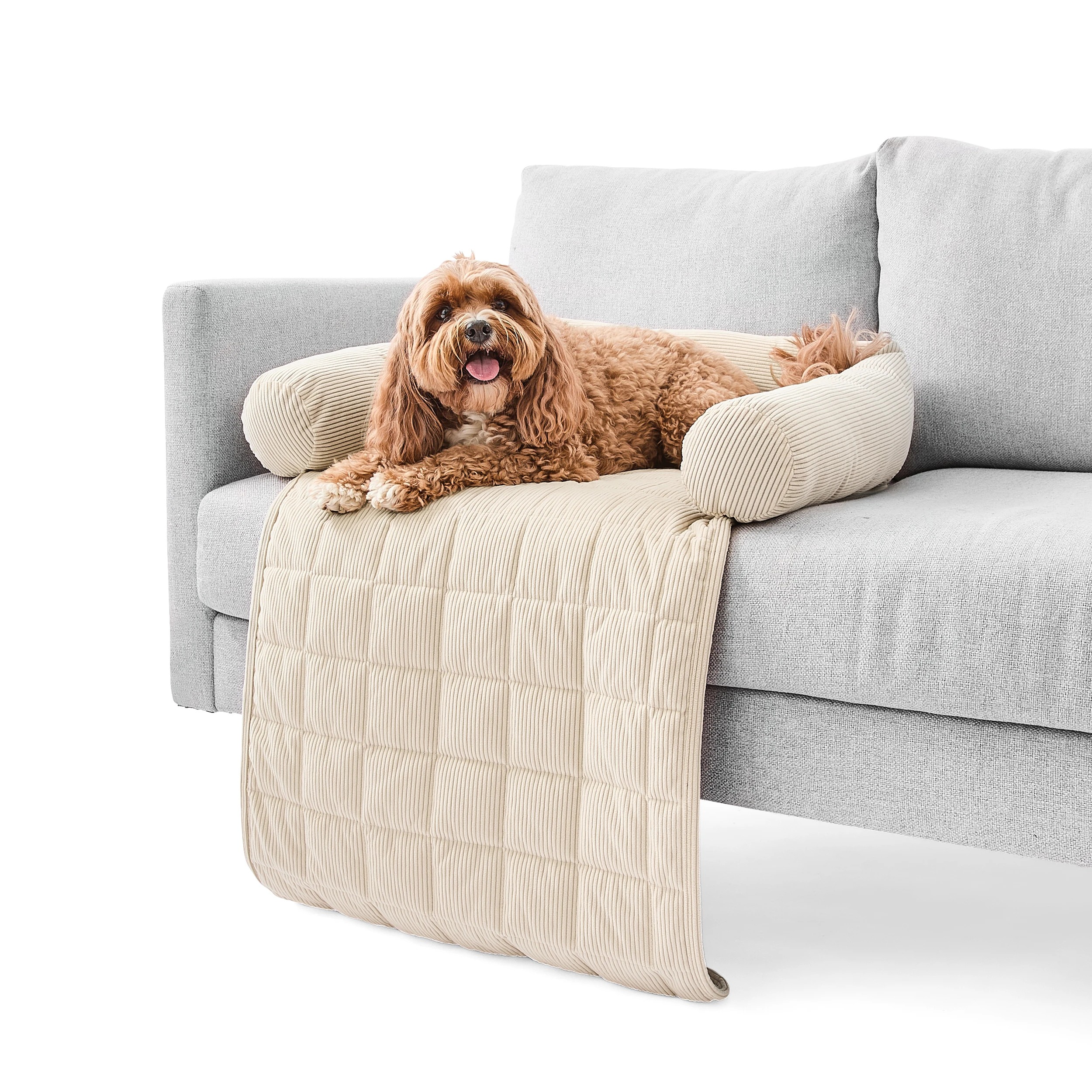 1 Pet Corduroy Couch Topper - Single Bed, Brown, 1 of 8
