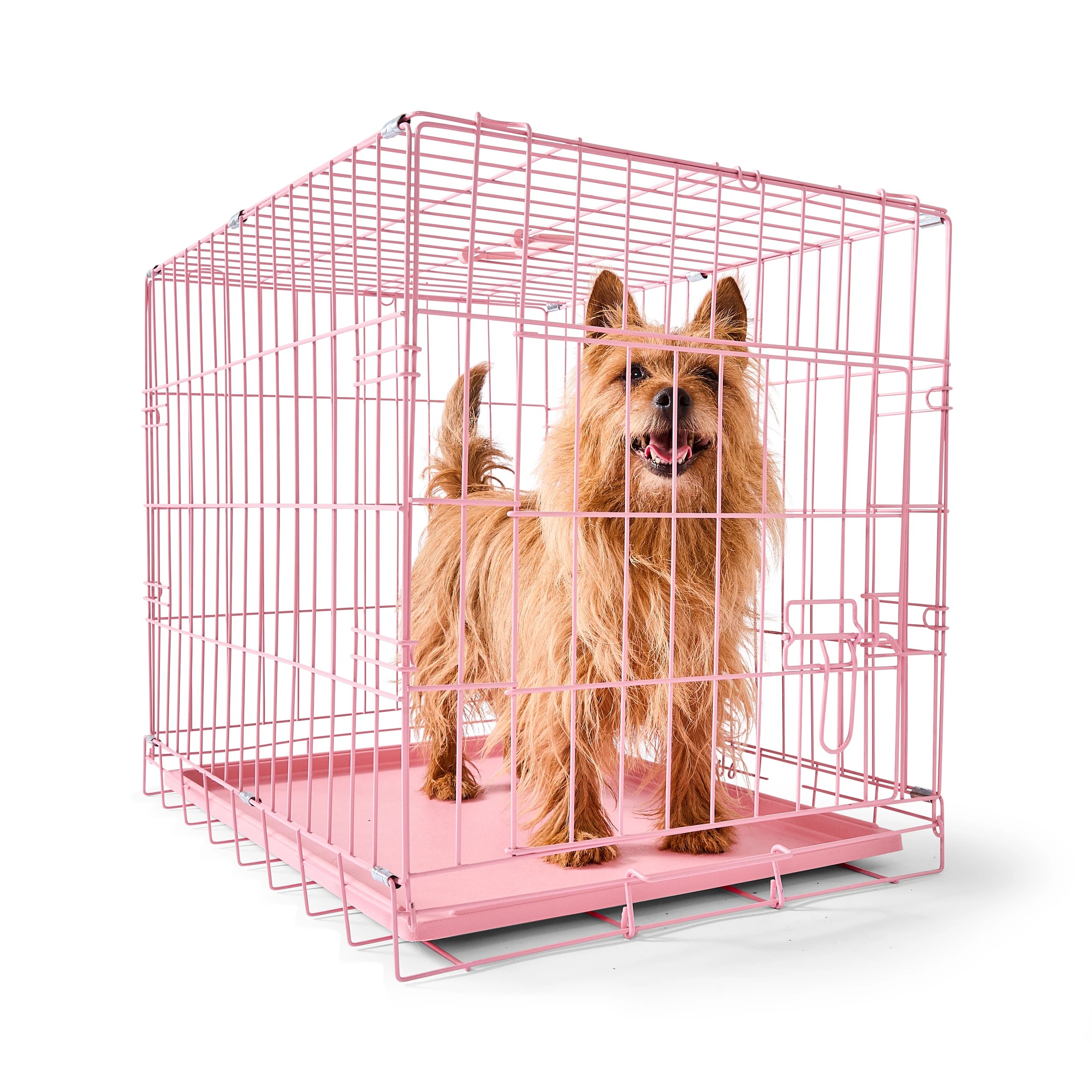 1 Small Pink Crate, 1 of 10