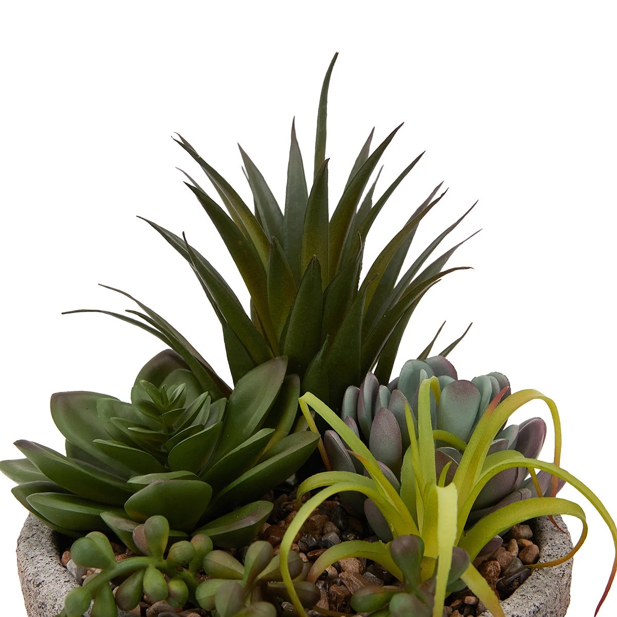 3 Artificial Succulents in Pot, 3 of 6