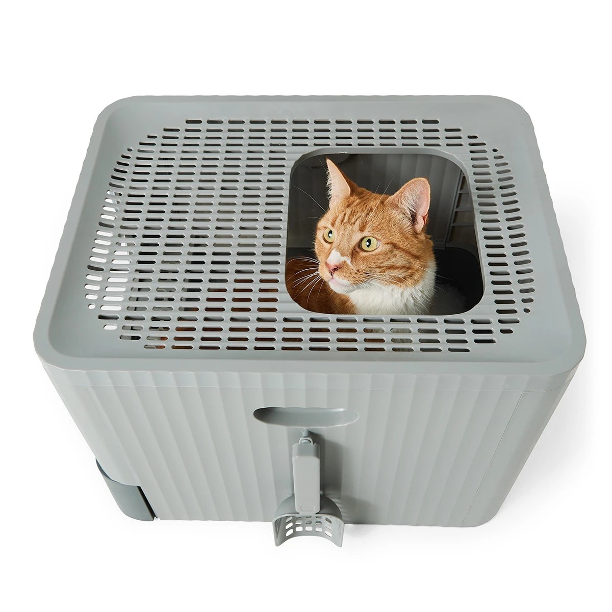 2 Cat Litter Box Dual Entry, 2 of 10