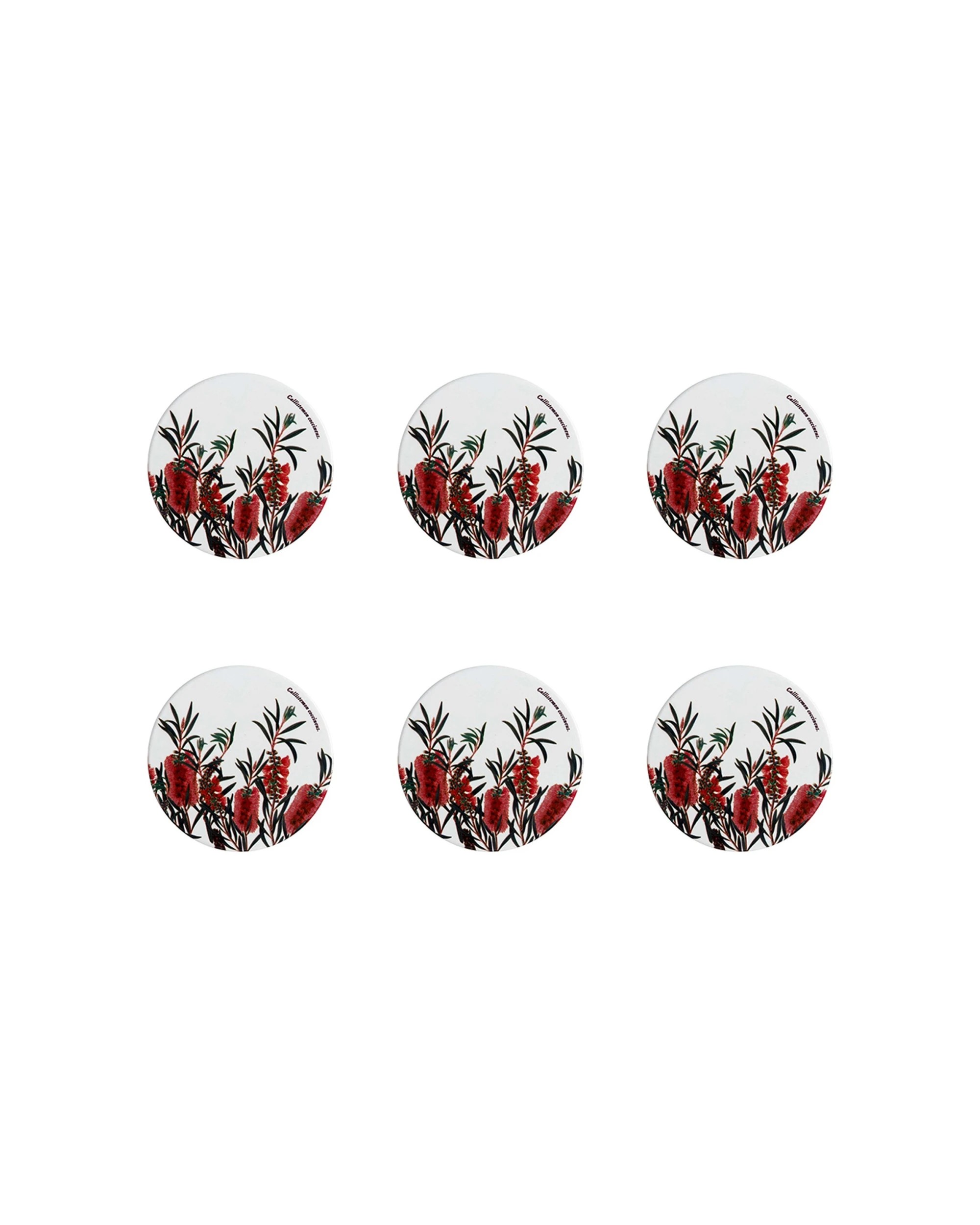 1 Maxwell & Williams 6PK Royal Botanic Gardens Victoria Coaster 9.5cm Bottlebrush - Multi, 1 of 2