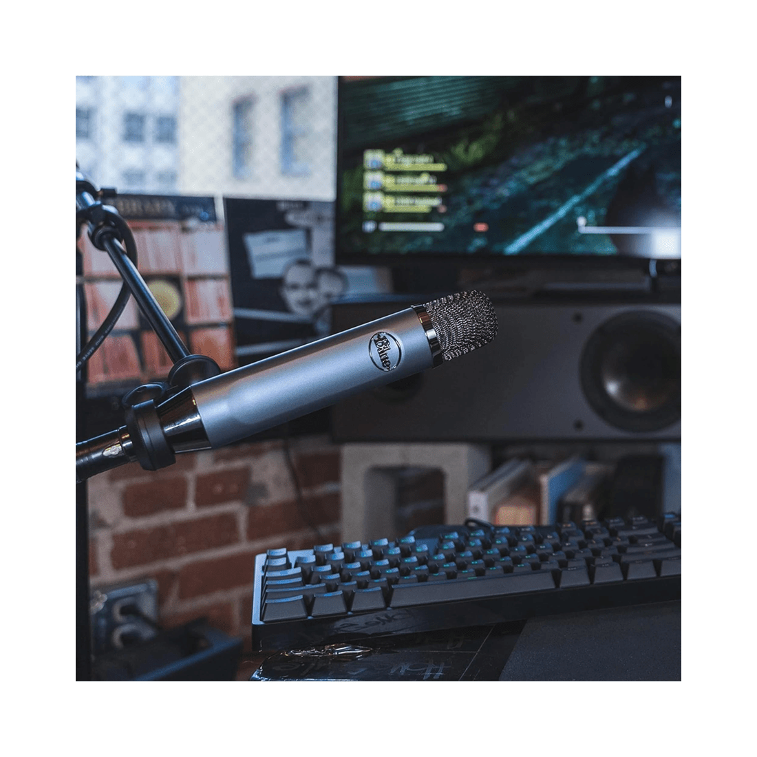 6 Blue Ember XLR Condensor Microphone - Grey, 6 of 7