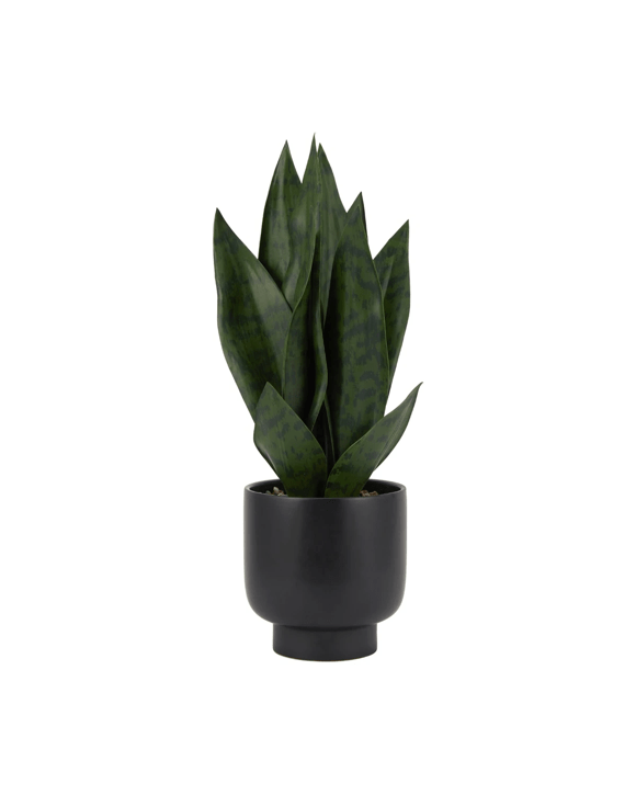 Artificial Snake Plant in Pot