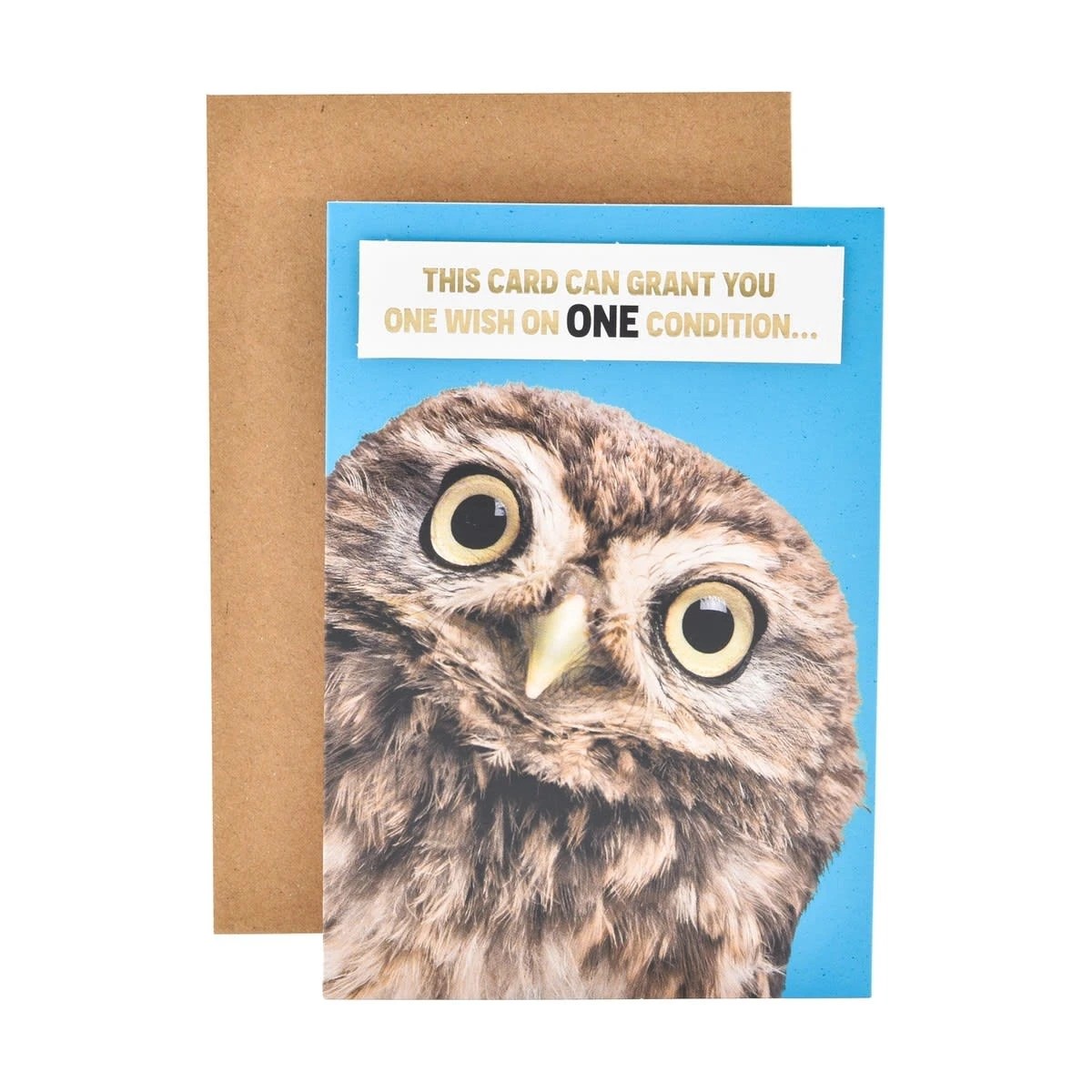 1 Hallmark Birthday Card - Cheeky Owl, 1 of 3