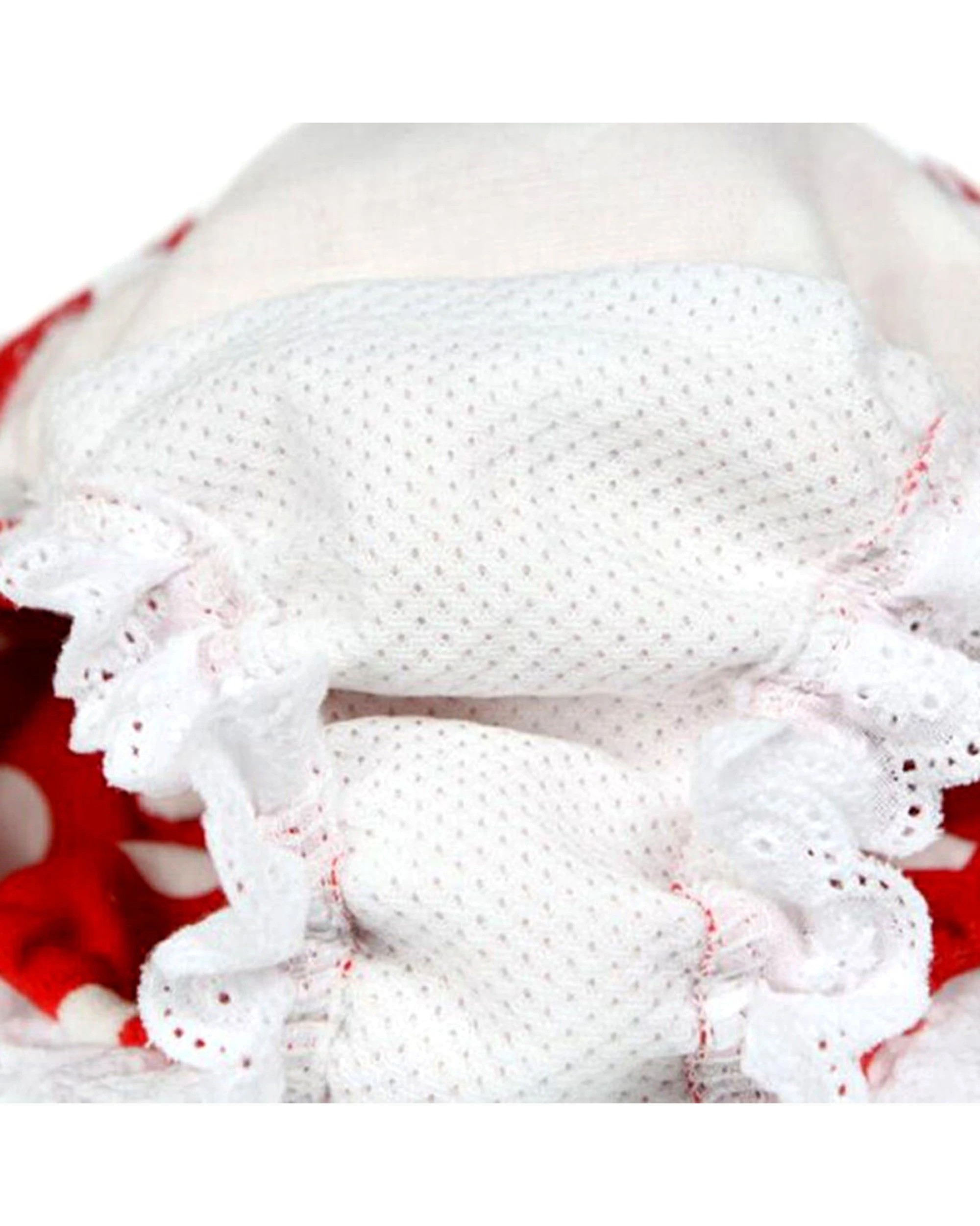 9 Cotton More 2pc Female Dog Reusable Sanitary Underpants Diaper Polka Dots Small - Red, 9 of 9