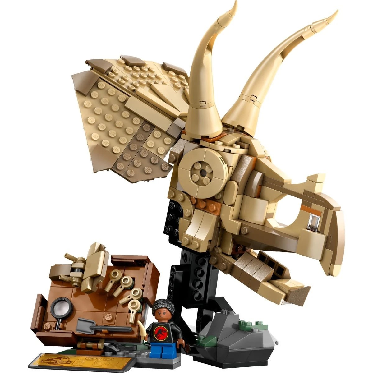 3 LEGO Jurassic World Dinosaur Fossils: Triceratops Skull 76969, 3 of 10