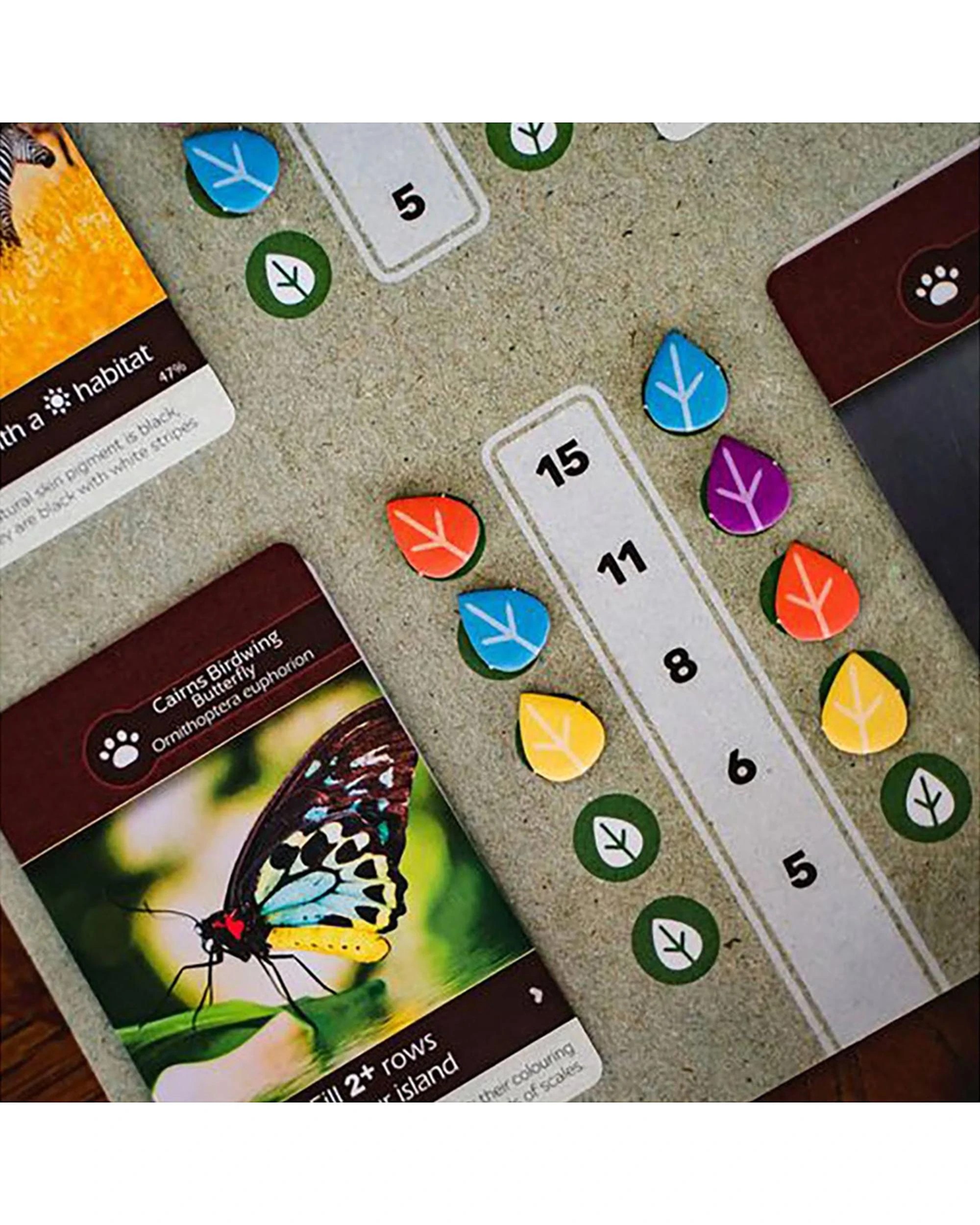 3 Earth Board Game, 3 of 4